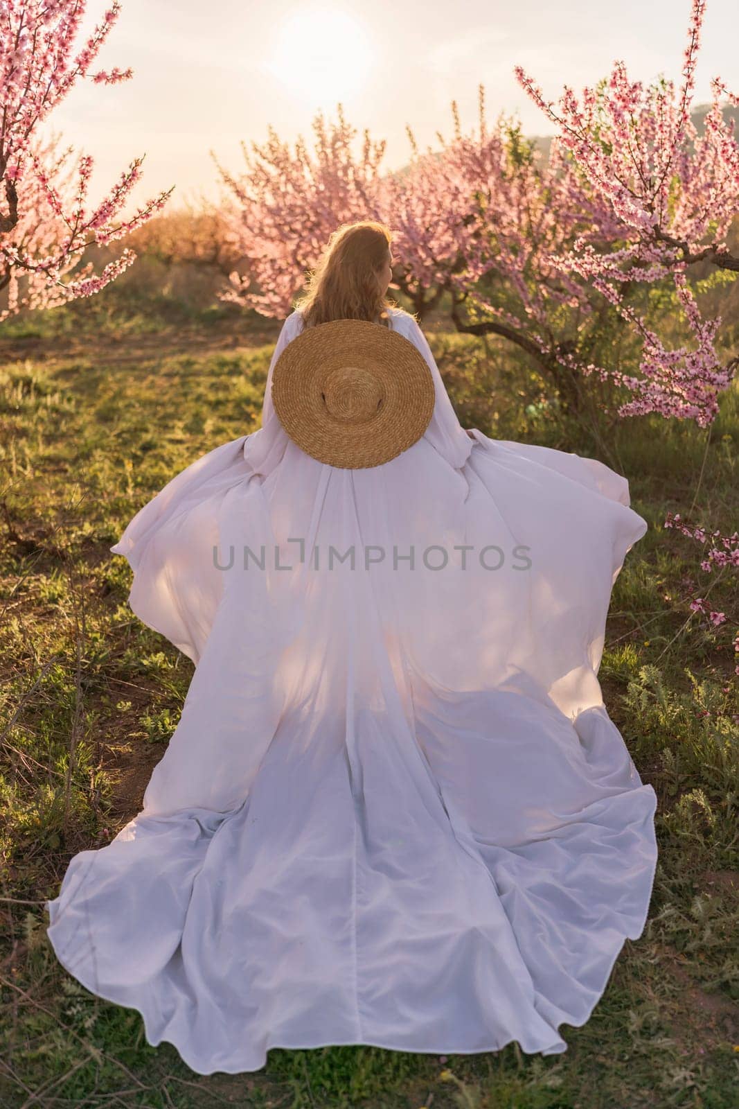 Woman blooming peach orchard. Against the backdrop of a picturesque peach orchard, a woman in a long white dress and hat enjoys a peaceful walk in the park, surrounded by the beauty of nature. by Matiunina