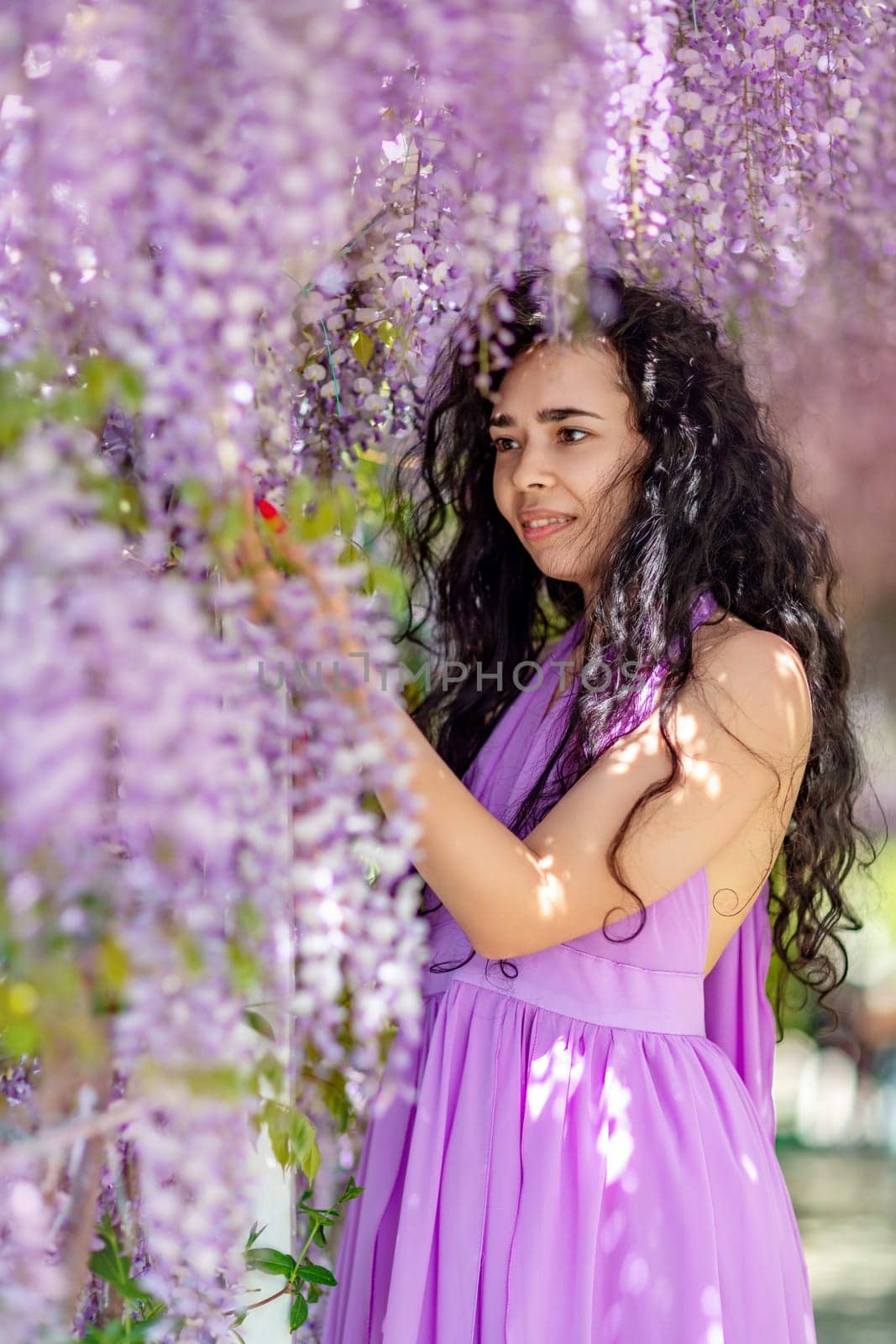 Woman wisteria lilac dress. Thoughtful happy mature woman in purple dress surrounded by chinese wisteria.