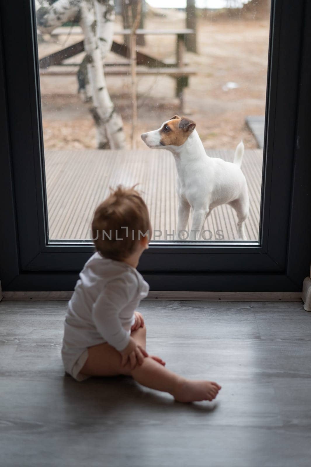 The dog stands at the patio window and asks to go inside the house to the baby boy on the other side of the door. Vertical photo