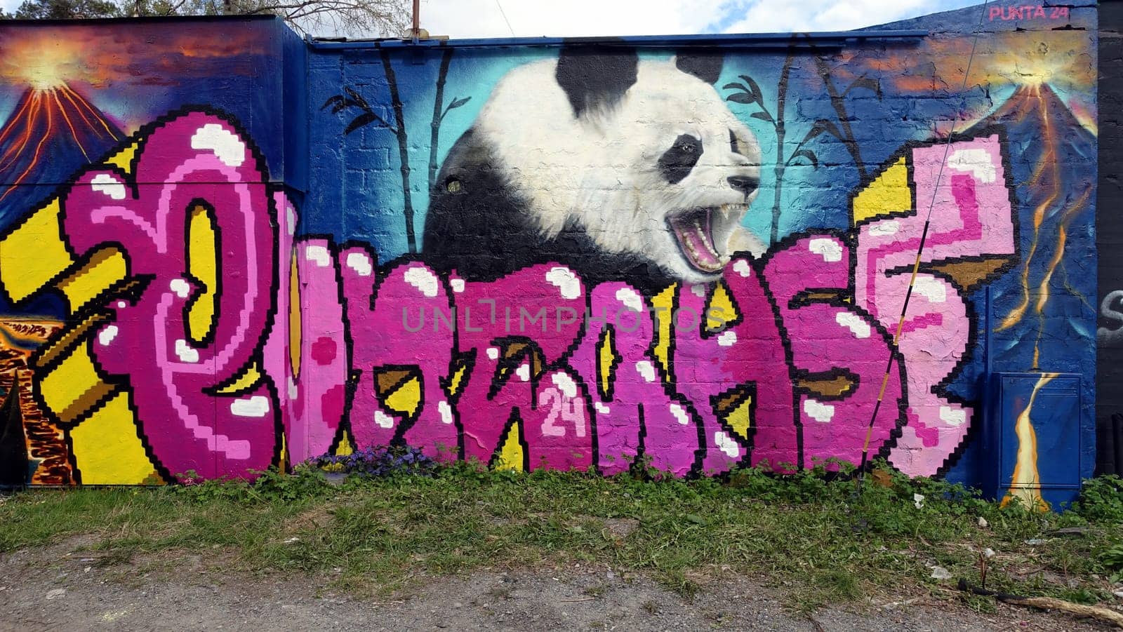 Stockholm, Snosatra, Sweden. May 12 2024. Spring beast. Graffiti exhibition on the outskirts of the city. Panda.