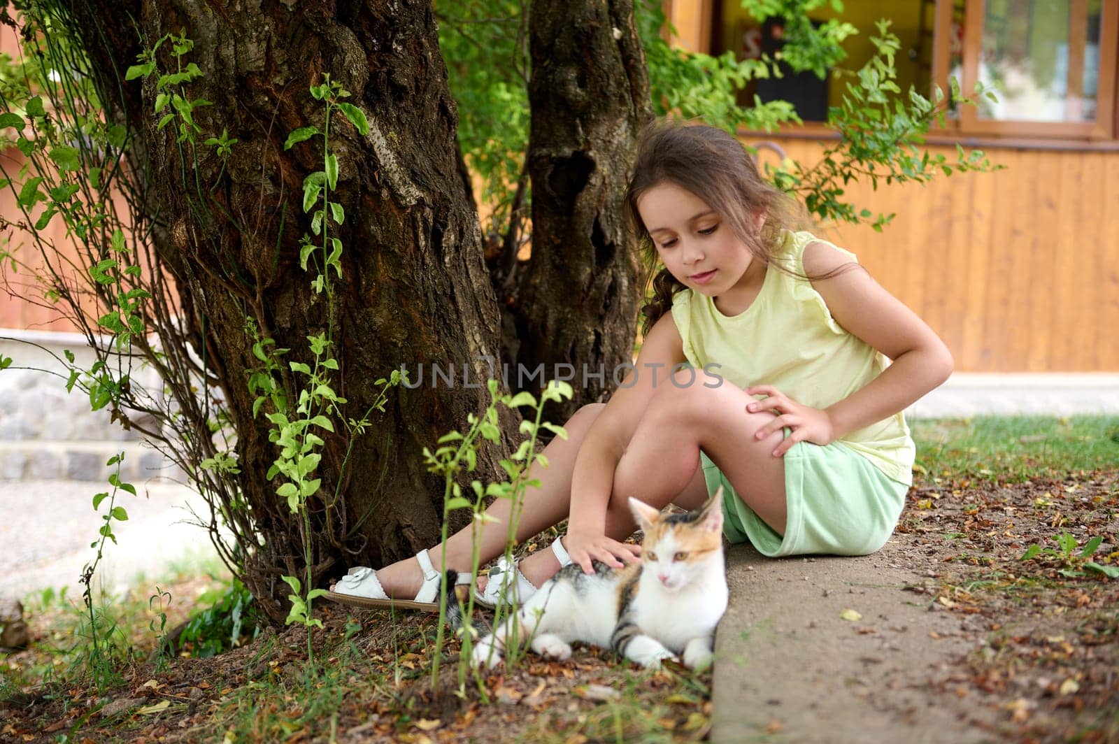 Adorable Caucasian little child girl 6 years old, in casual shorts and yellow t-shirt, stroking a and playing with a cat outdoors, sitting by a tree. People and animals concept