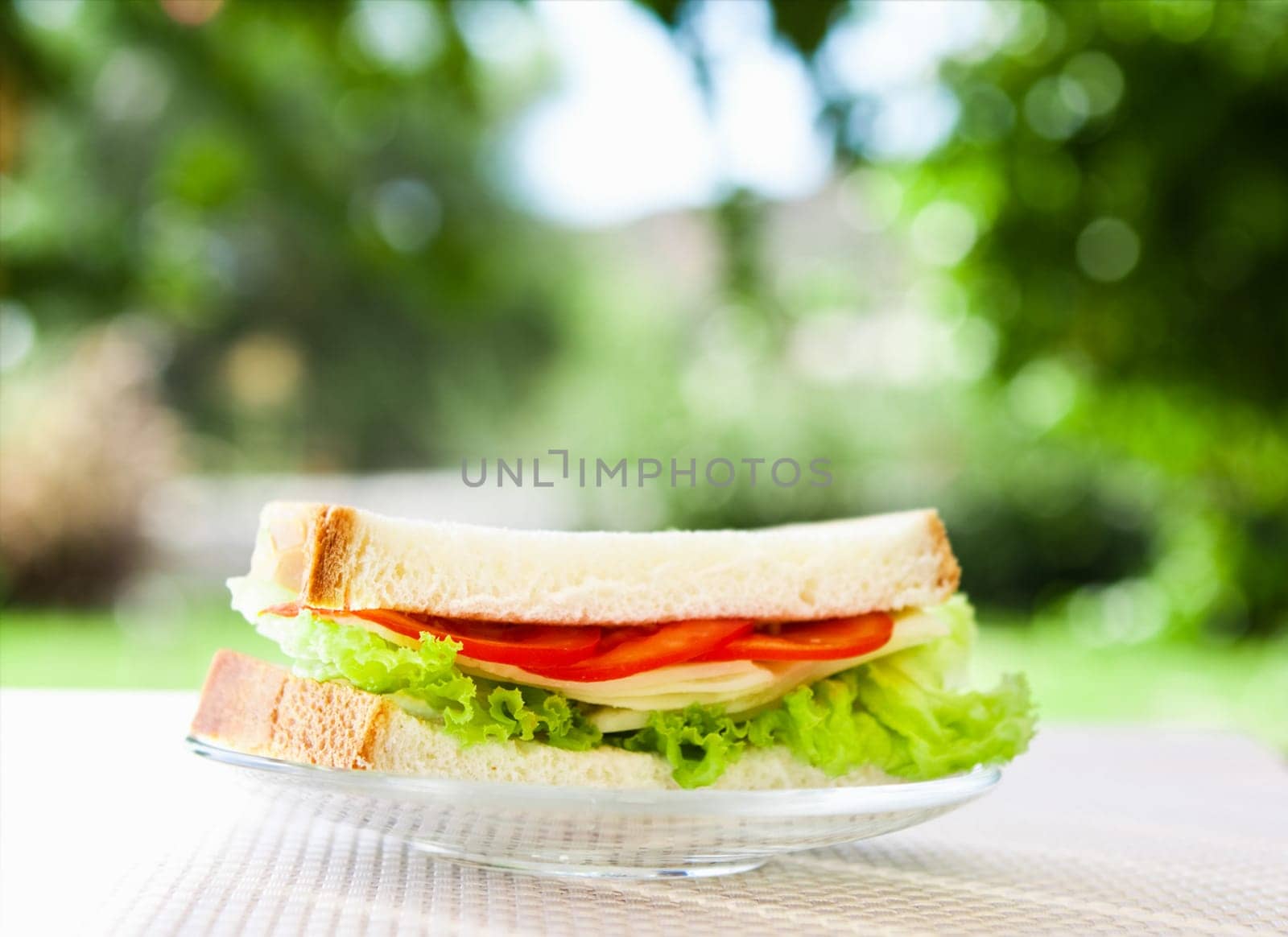cheese and veggies sandwich - healthy snacks and homemade food styled concept, elegant visuals