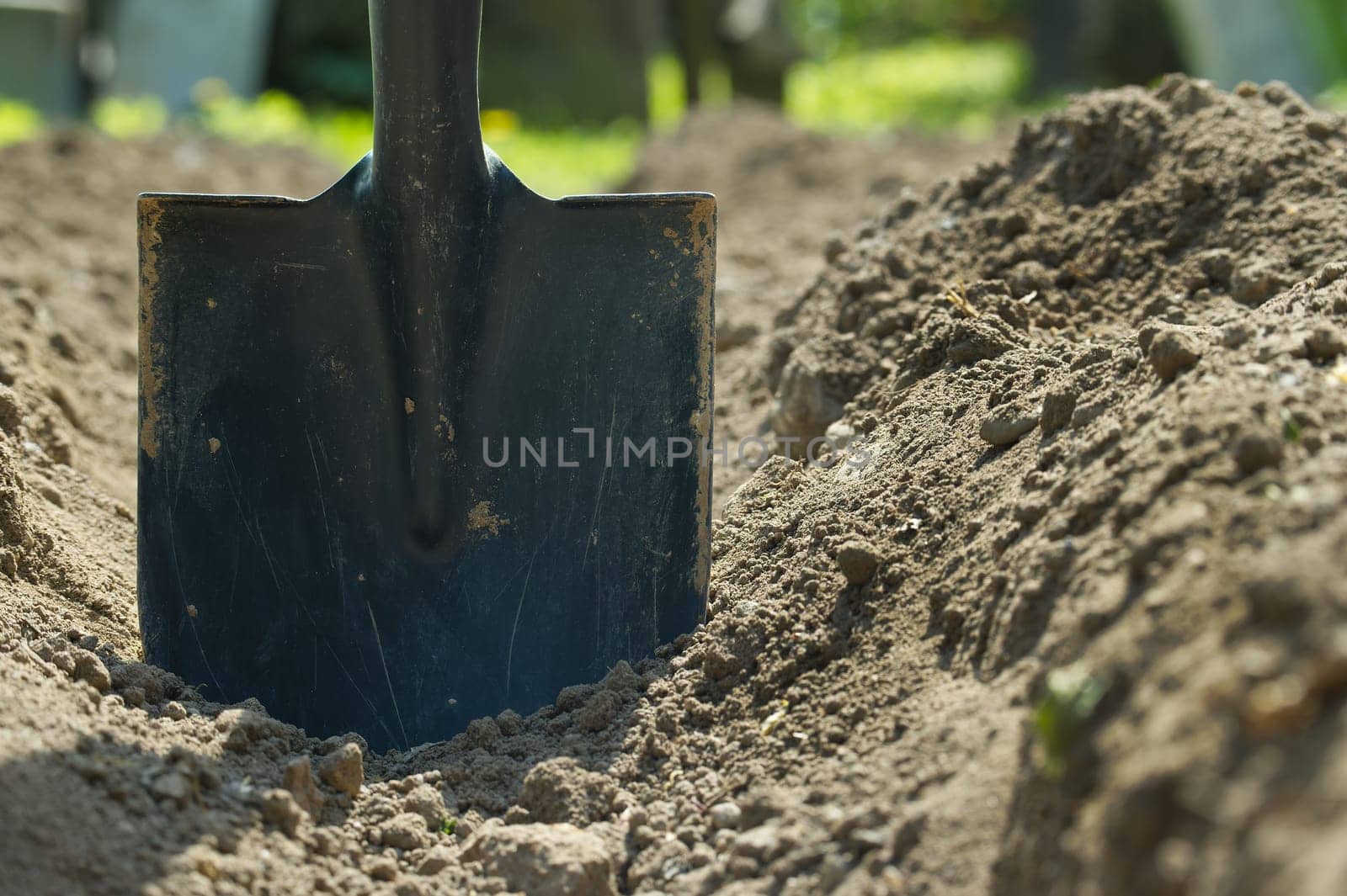 Shovel embedded in the ground within a well-maintained soil used for gardening