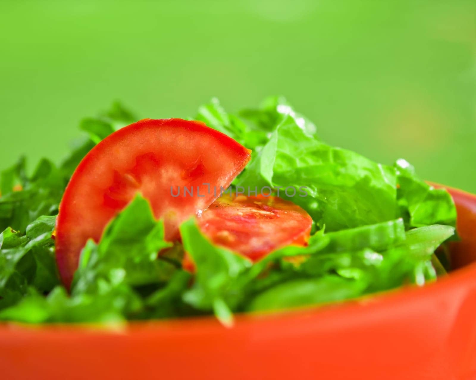 green vegetarian salad - diet and healthy eating recipes styled concept, elegant visuals