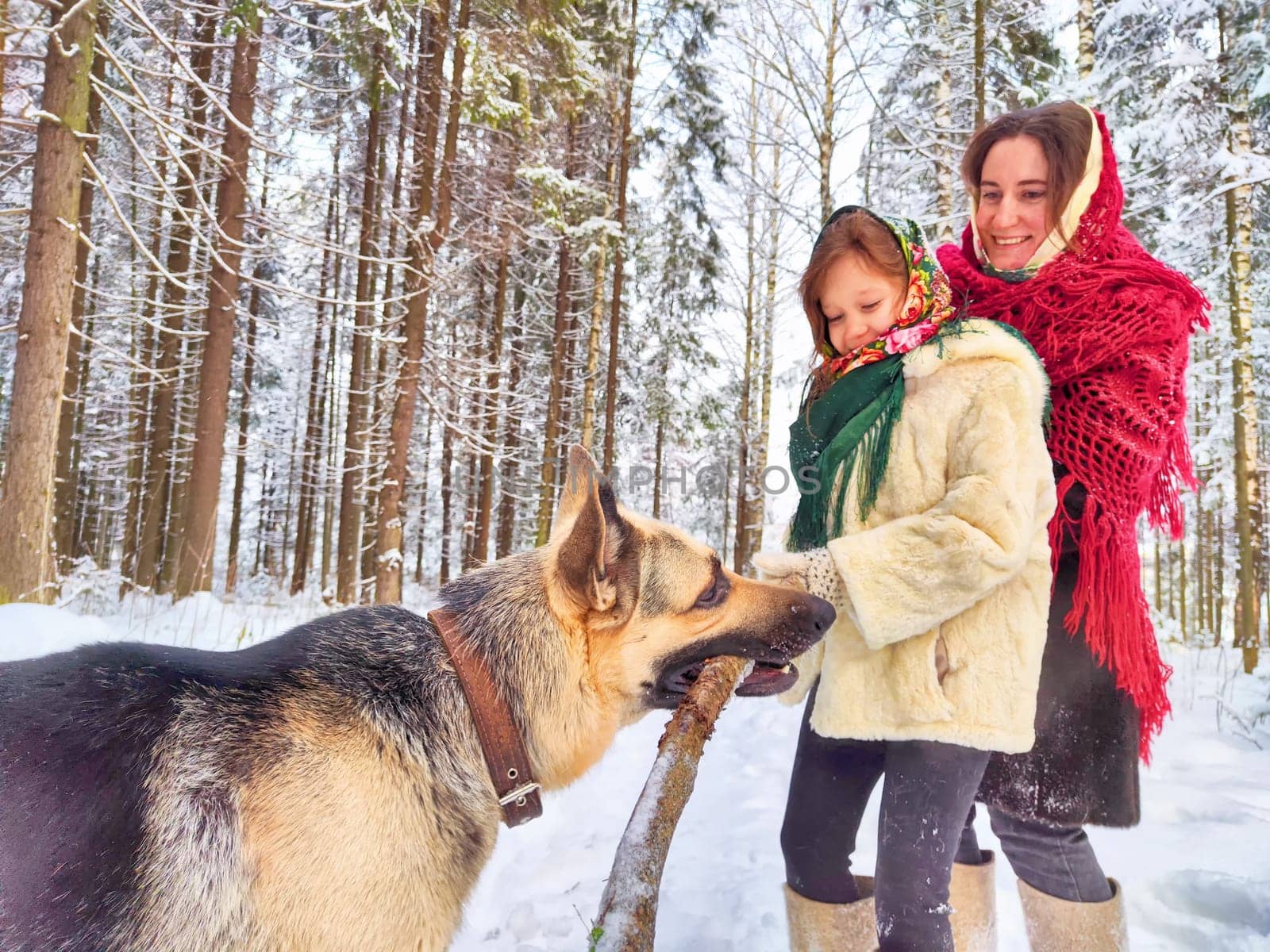 Happy family with big shepherd dog. Mother and daughter in shawls in winter forest for ethnic carnival Maslenitsa