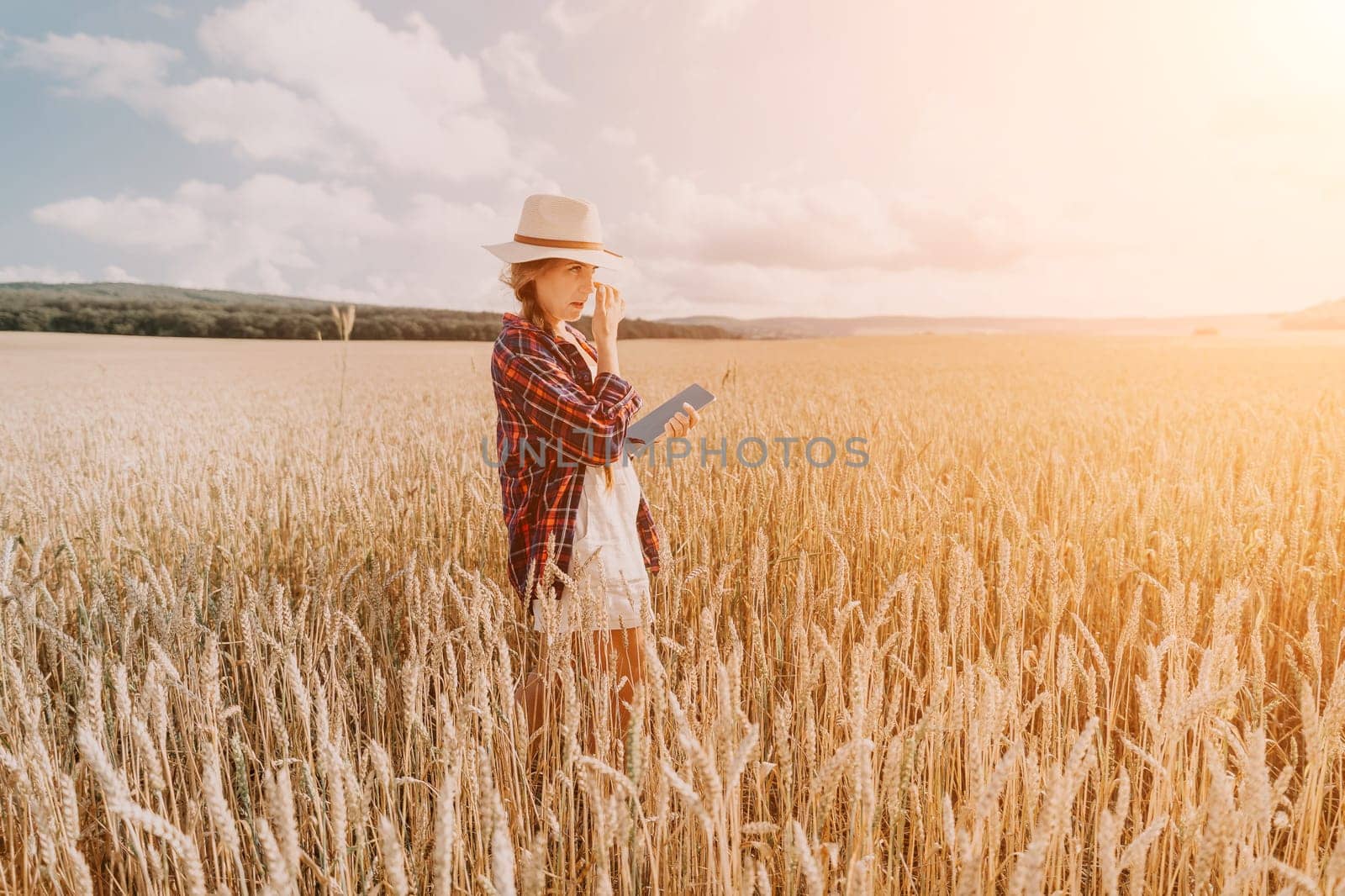 Woman farmer walks through a wheat field at sunset, touching green ears of wheat with his hands. Hand farmer is touching ears of wheat on field in sun, inspecting her harvest. Agricultural business.