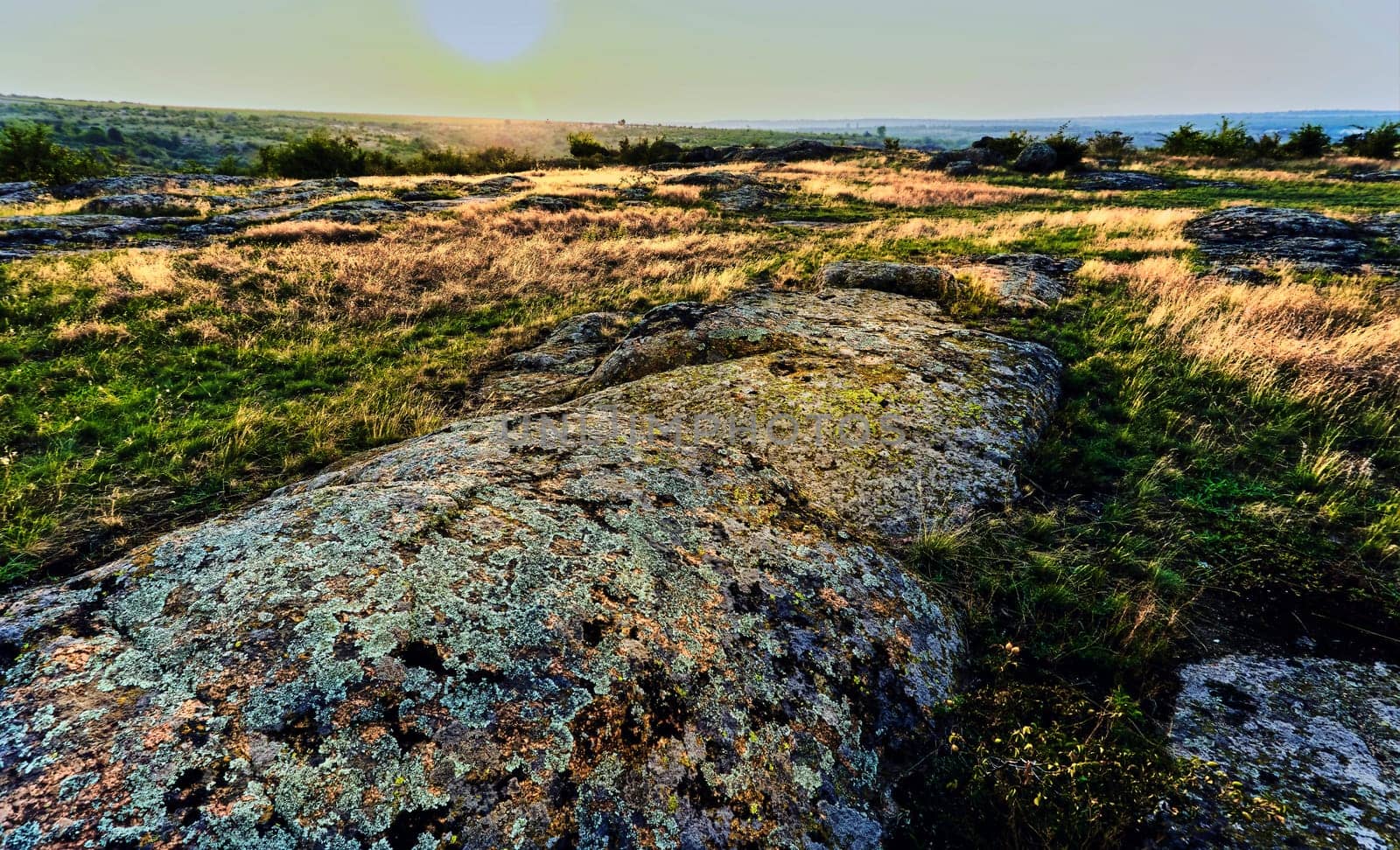 Mystery terrain land.Dried grass,scorching burning bright sun by jovani68