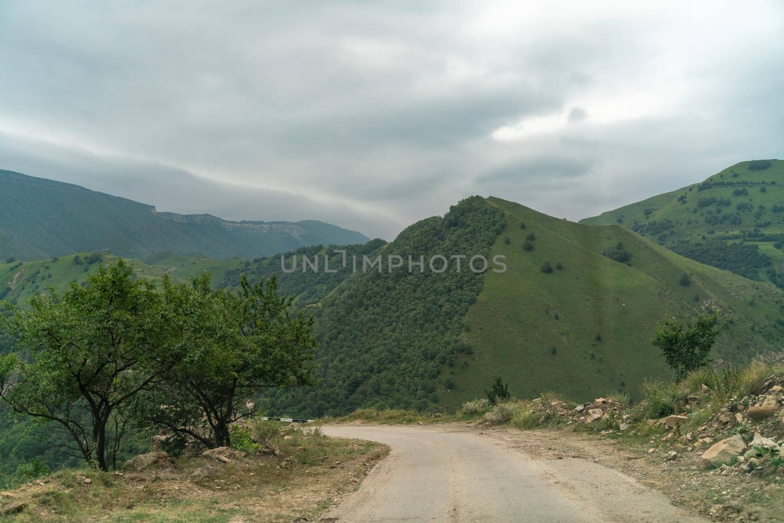 Caucasian mountain. Dagestan. Trees, rocks, mountains, view of the green mountains. Beautiful summer landscape