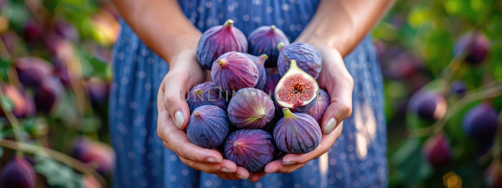 Harvest in the hands of a woman in the garden. Selective focus. nature.