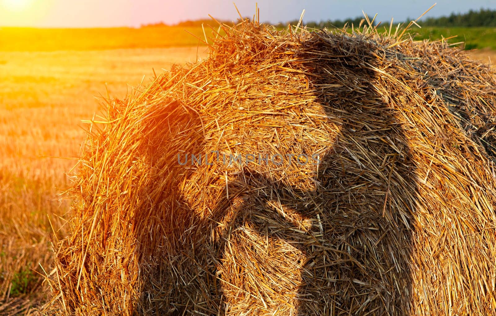 A picturesque scene capturing the glowing sun shining through a round hay bale in a rural field during summertime, with ample copy space beside the bale for text or design elements.