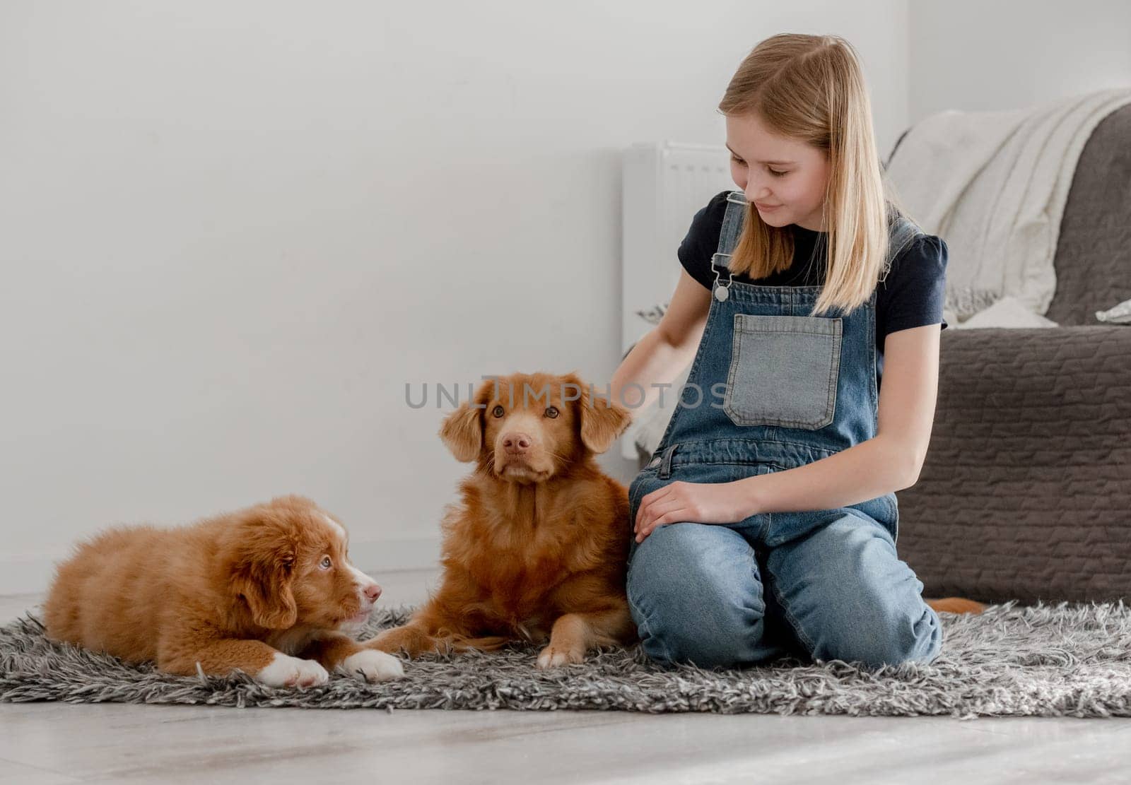 11-Year-Old Girl Plays With Nova Scotia Retriever And Its Puppy On Home Floor by tan4ikk1