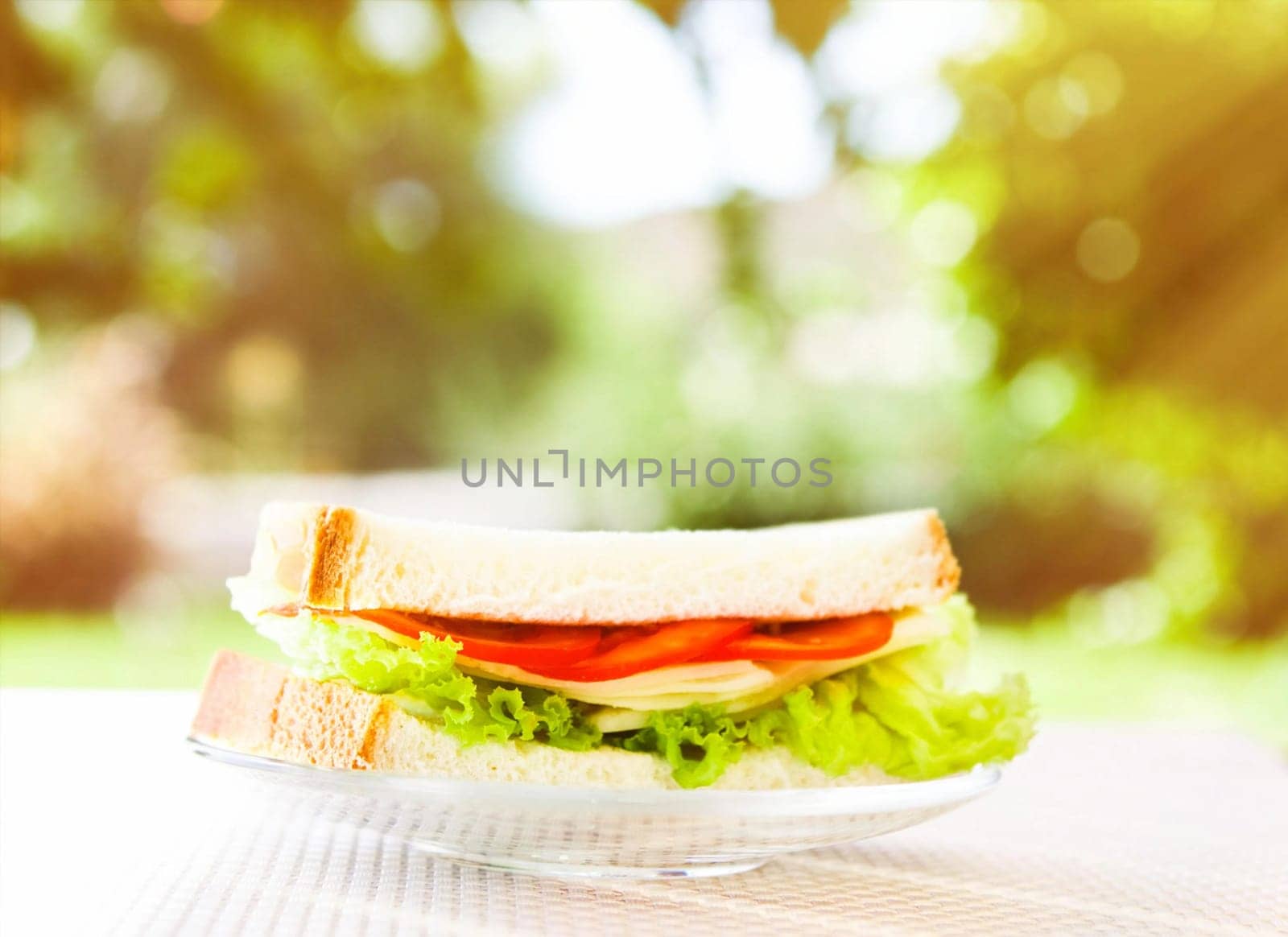 Vegetarian low carb sandwich - healthy diet, homemade and eating outside concept. Enjoy a well-balanced lunch