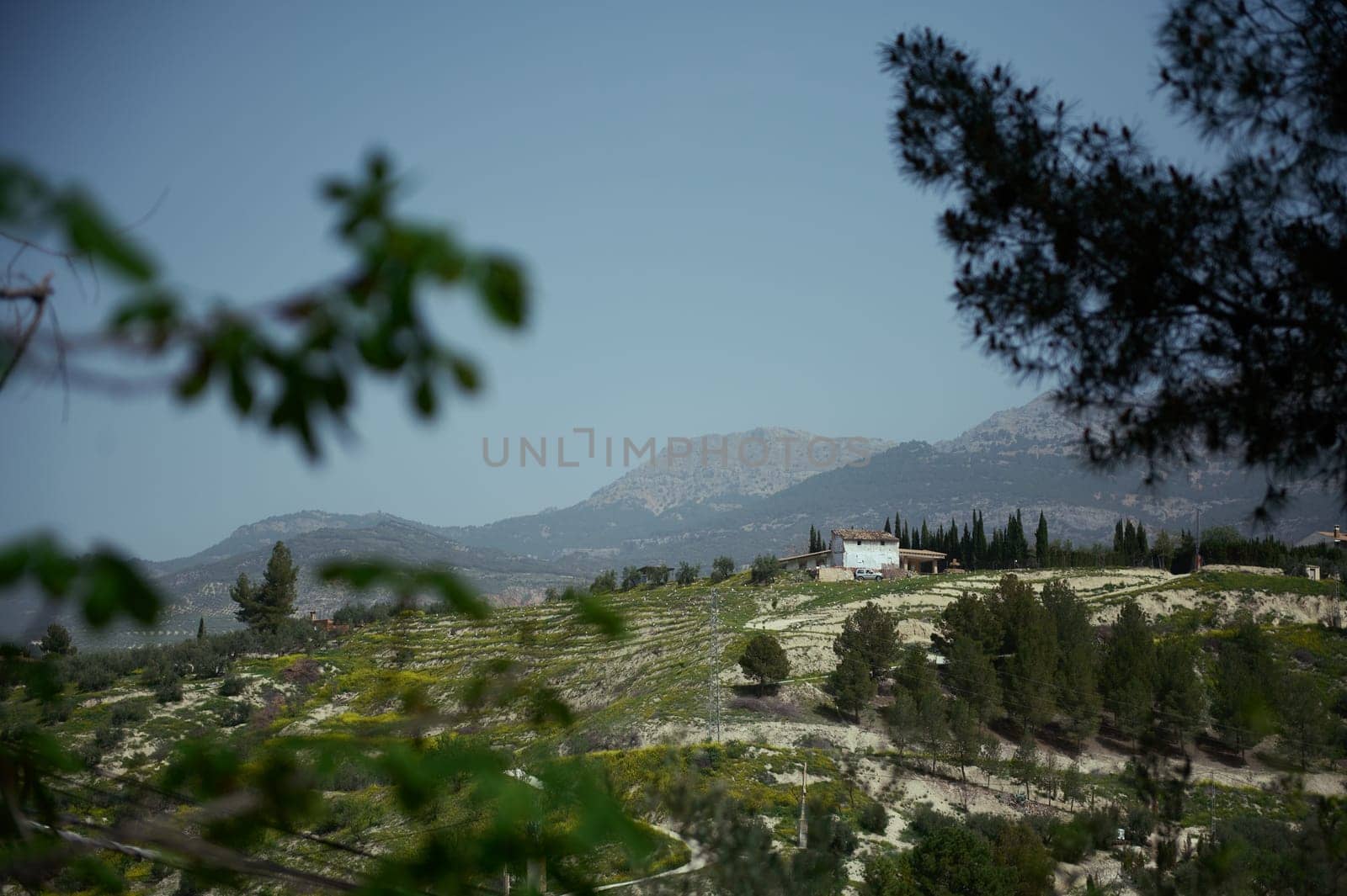 A white old cottage with an agricultural field with olive grove in mountain in the region of Jaen in Spain. Landscape scenery. Nature background, Countryside lifestyle