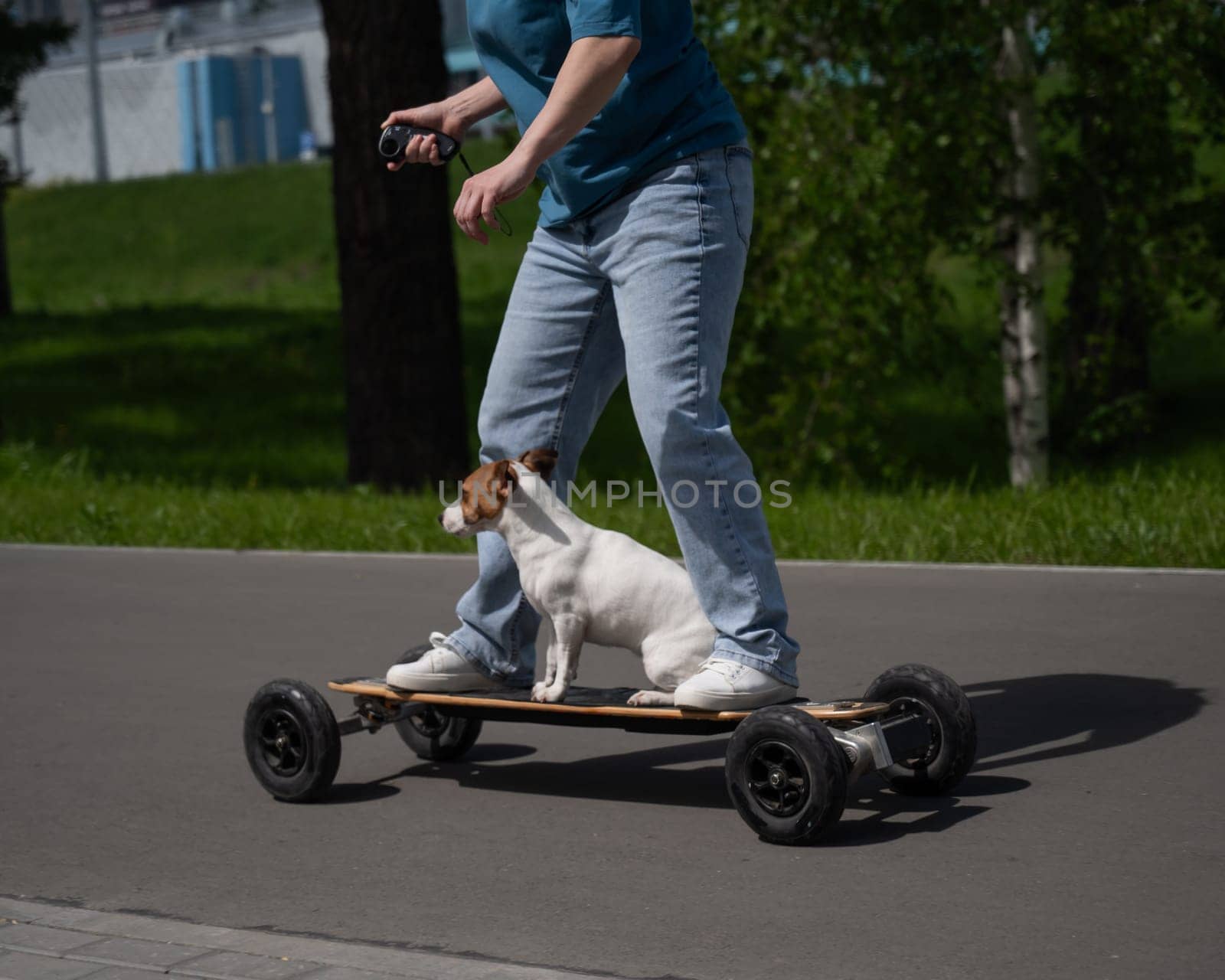 Caucasian woman rides an electric longboard with her Jack Russell Terrier dog