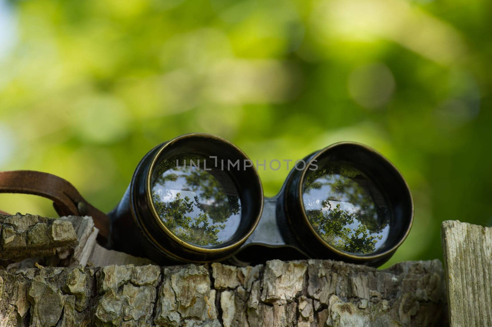 A close-up of vintage binoculars placed on a mossy tree stump, reflecting the surrounding forest environment. Ideal for concepts of exploration, adventure, and nature observation.