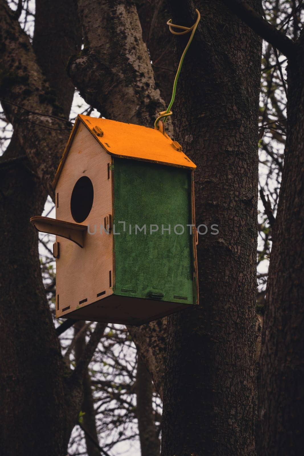 Birdhouse on a tree. High quality photo
