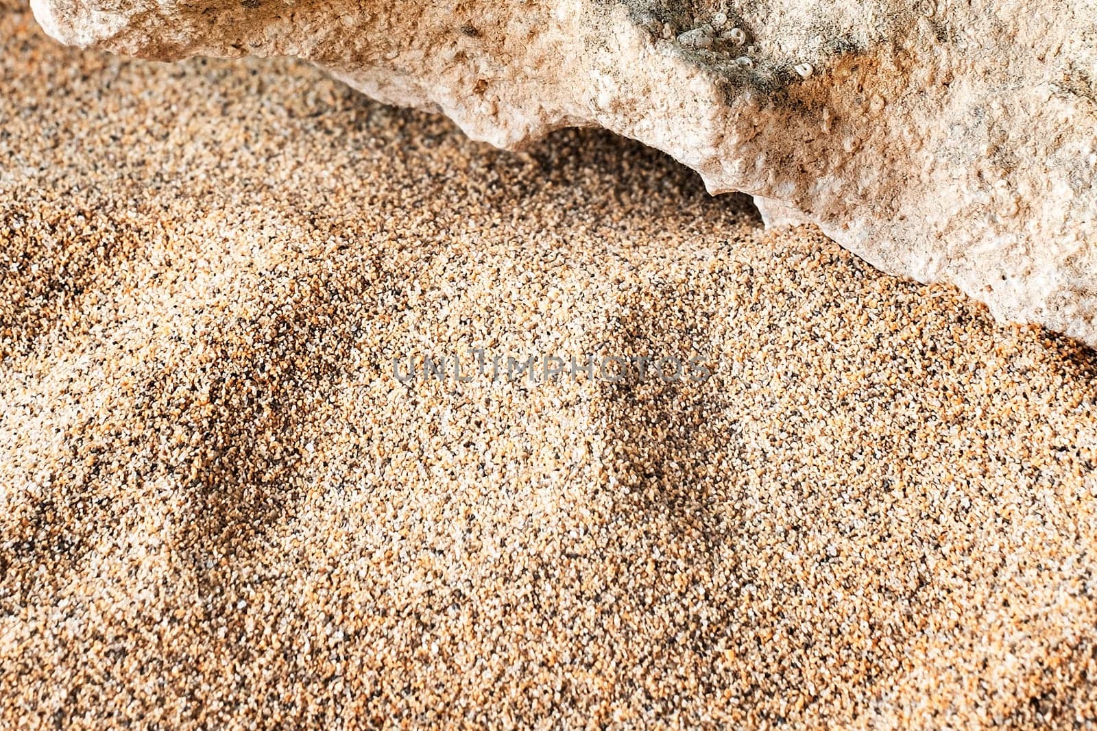 Texture of sandy beach as background, top view