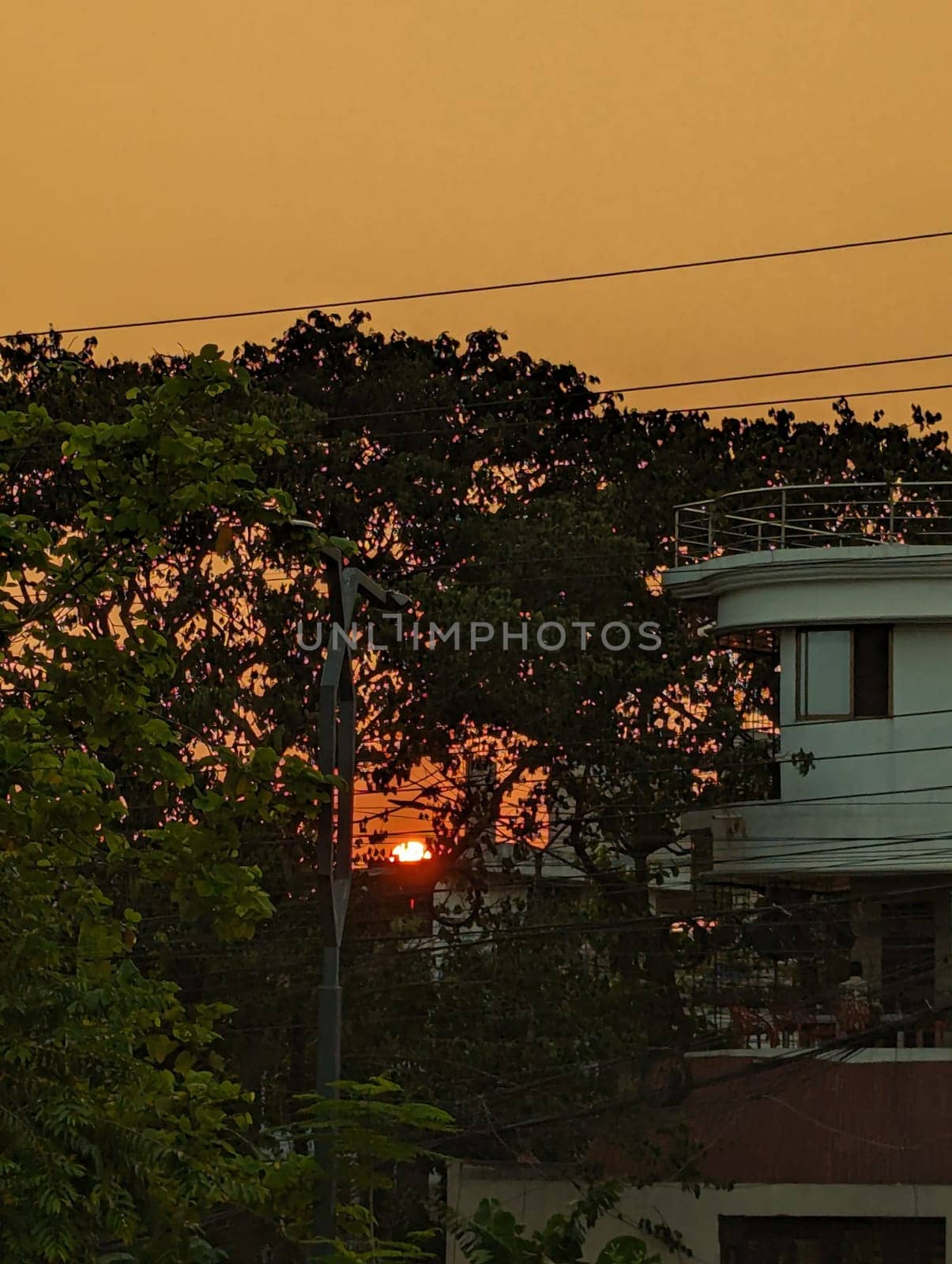 A sunset view from a residential neighborhood. The setting sun appears through the branches of trees, creating a warm glow in the sky. The image showcases a simple yet picturesque scene of everyday life in the city.