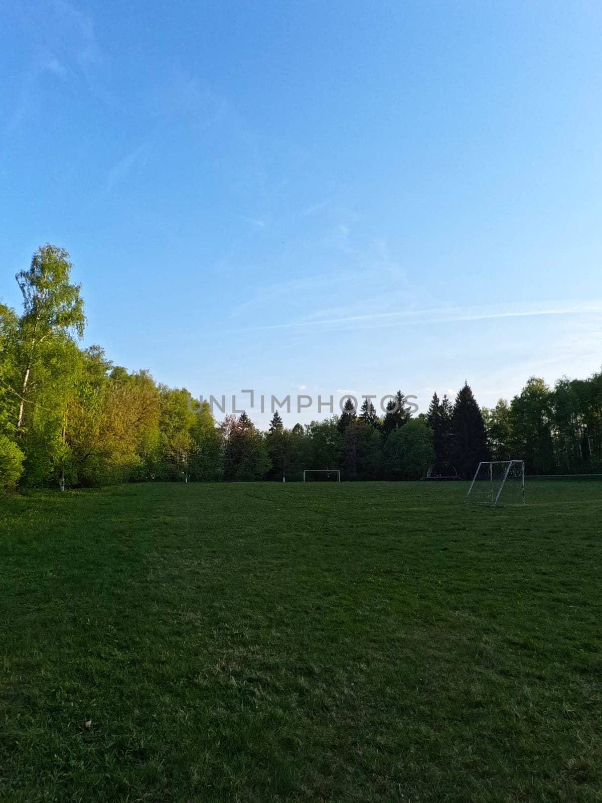 A football field in the middle of the forest. White football gates . High quality photo