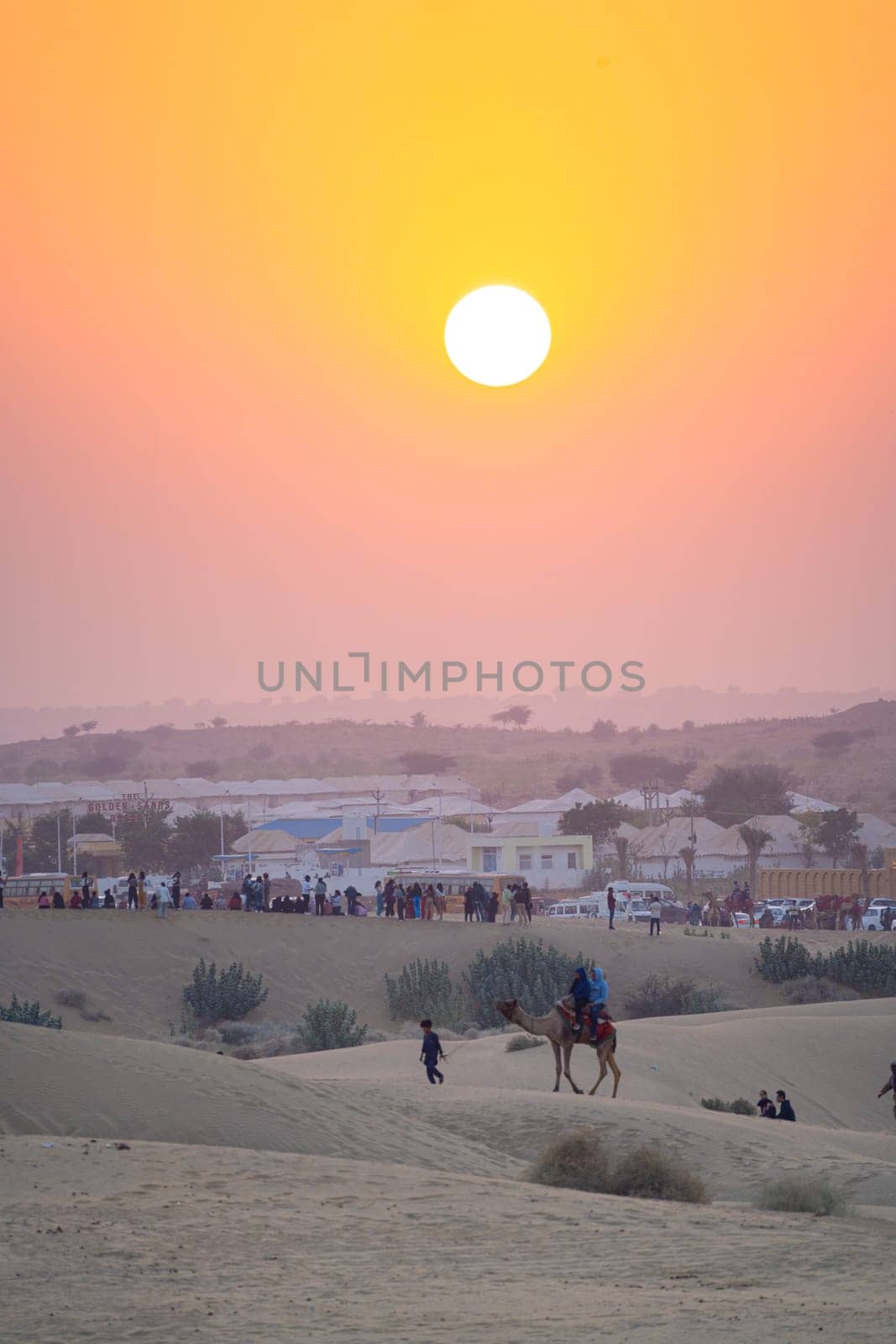 line of camels carrying people tourists at sunset across thar desert in jaisalmer rajasthan showing a popular tourist activity by Shalinimathur
