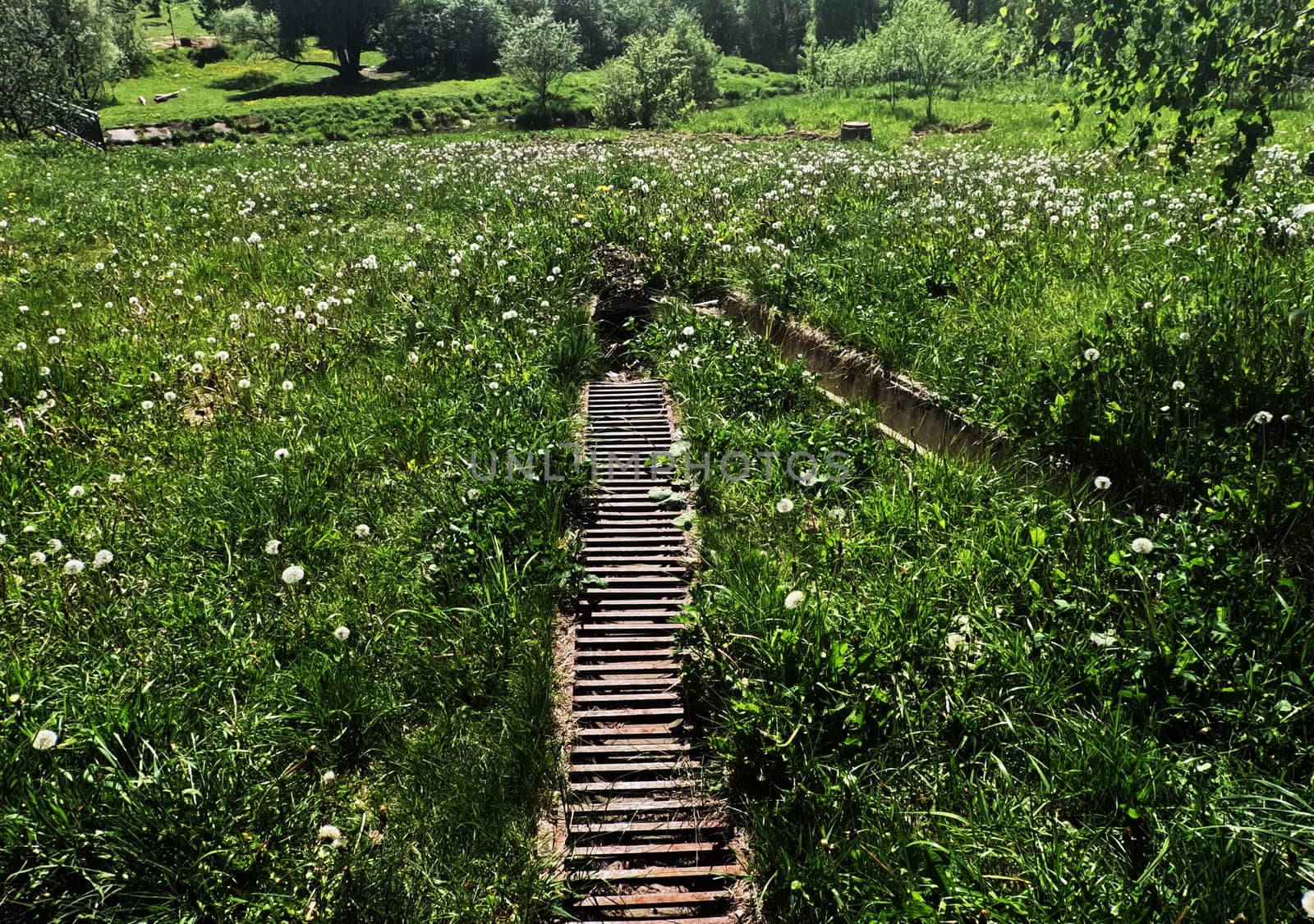 A drain in the middle of a green field. High quality photo