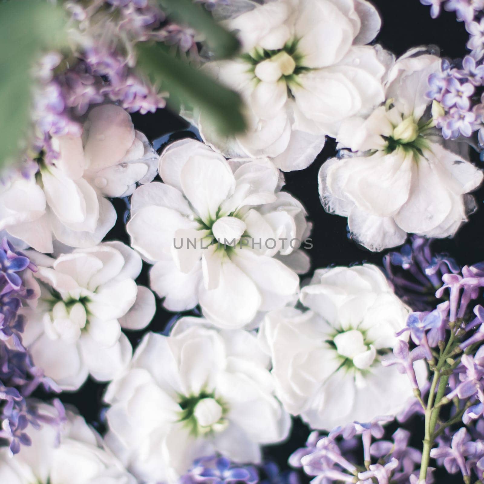Floral beauty in bloom by Anneleven