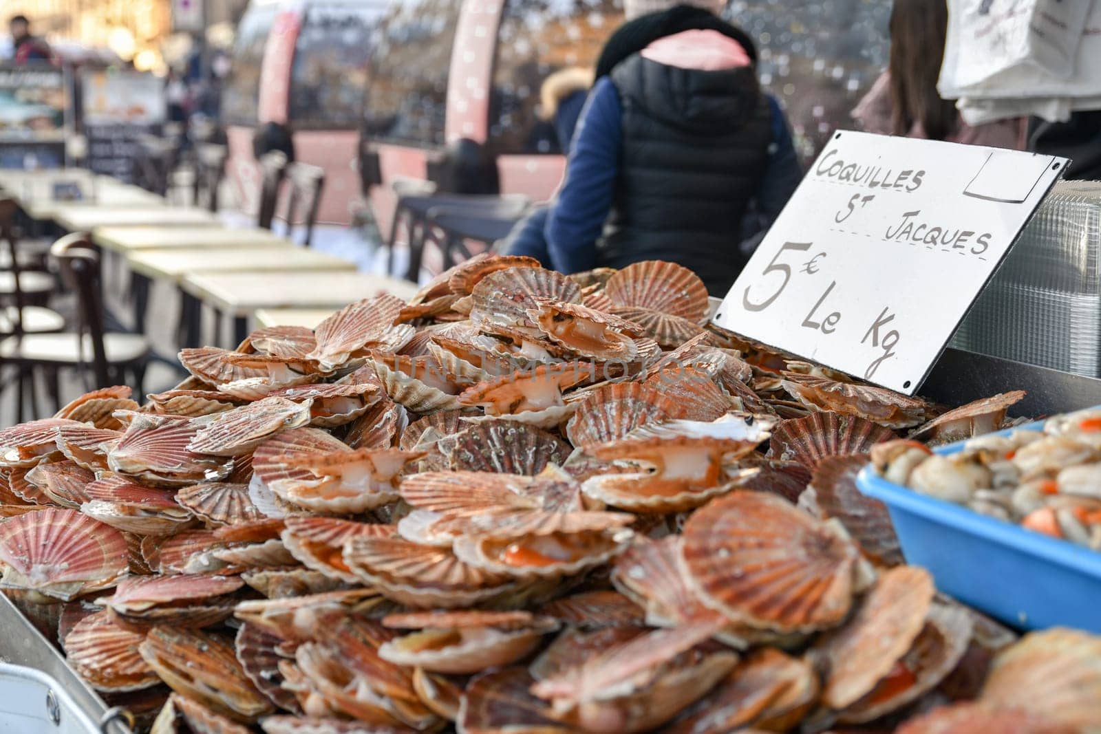 Fresh french scallops on a seafood market at Dieppe France