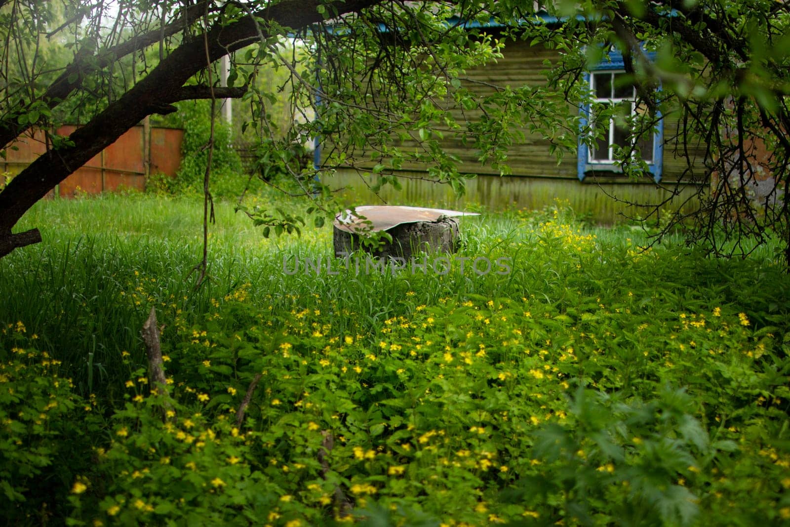 Abandoned Well. High quality photo. An abandoned house. Overgrown yard