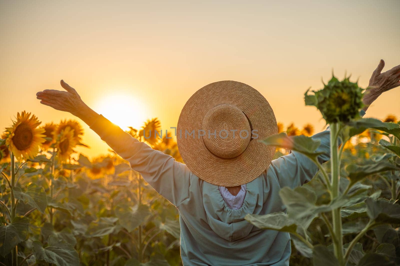 A woman wearing a straw hat stands in a field of sunflowers. She is smiling and she is happy