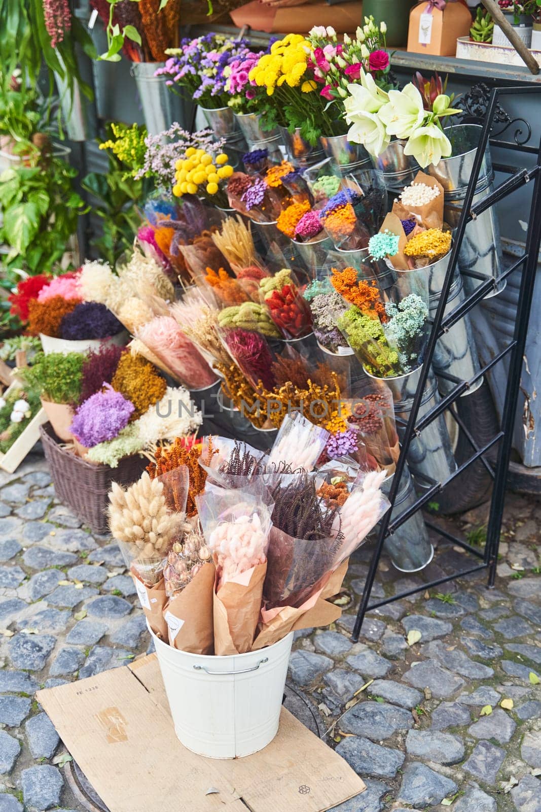 A flower shop filled with a variety of plants and flowers, with a charming bucket of blooms placed in front. Perfect for interior design, events, or flower arranging art