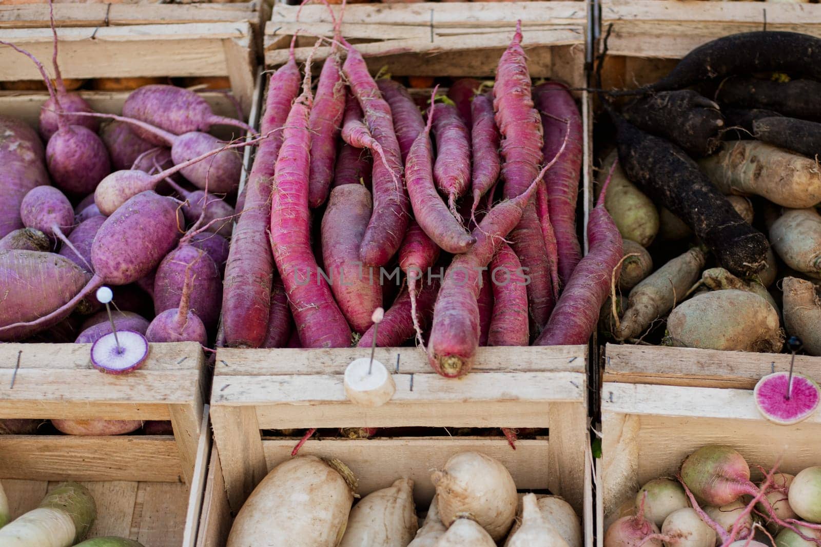 Black purple radishes at the Dieppe bazaar