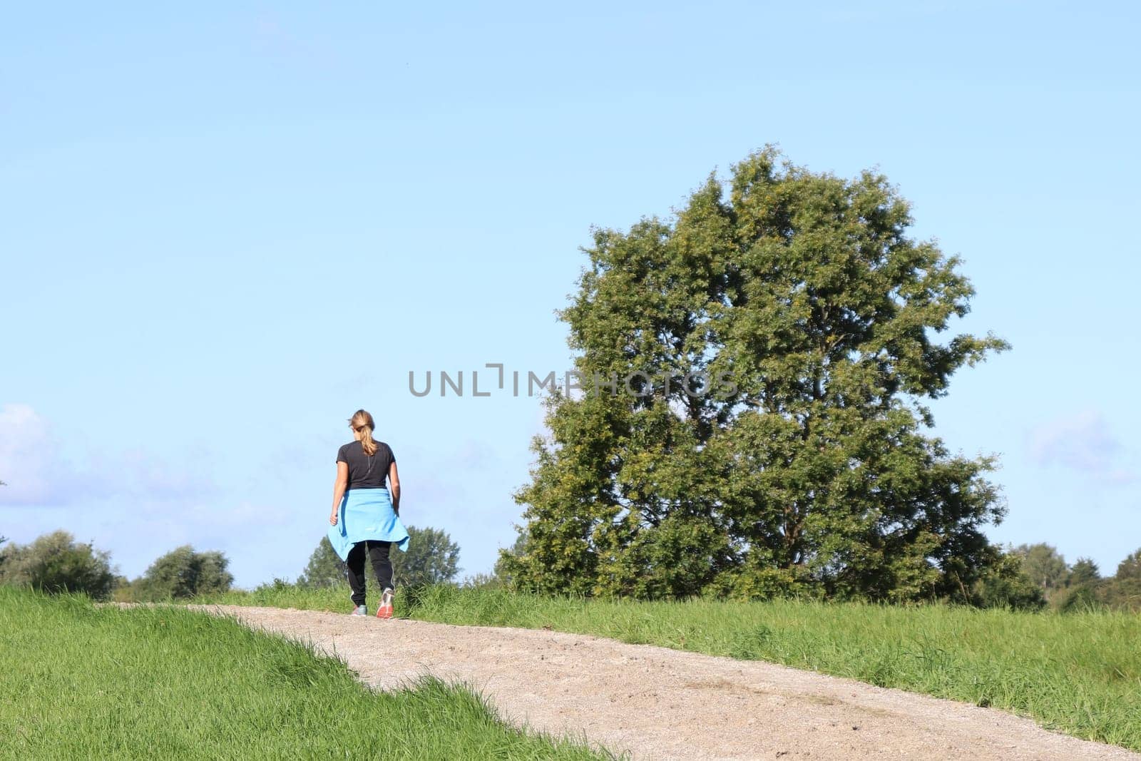 Woman in sportswear is walking along the path in the park on a summer dag. High quality photo