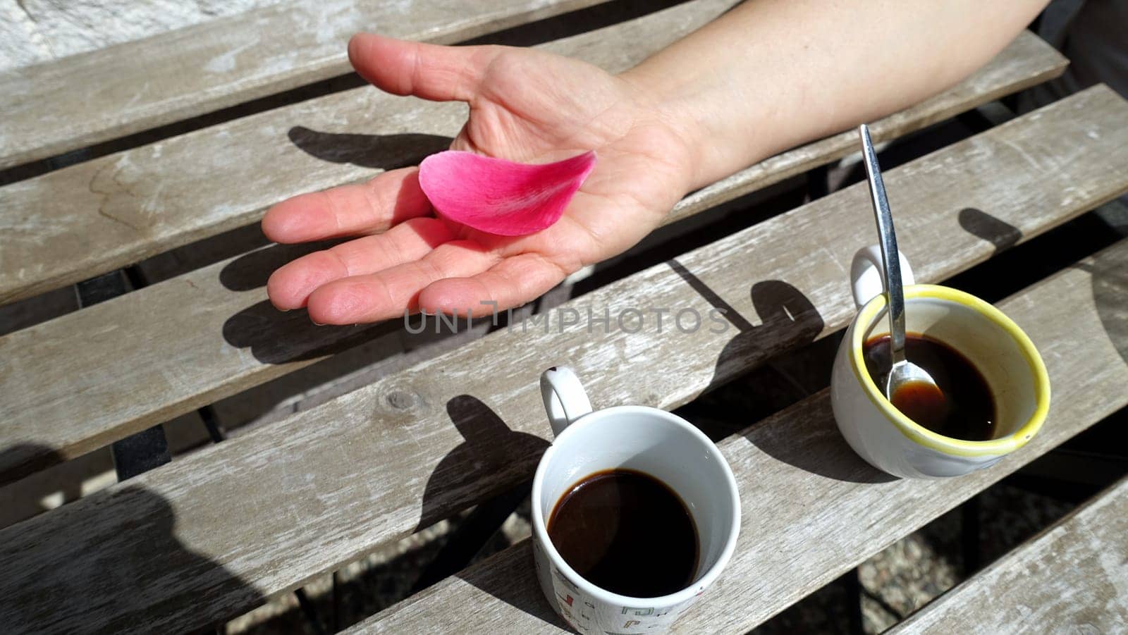 A petal of a freshly fallen pink flower resting in the palm of a hand and two cups of hot coffee.