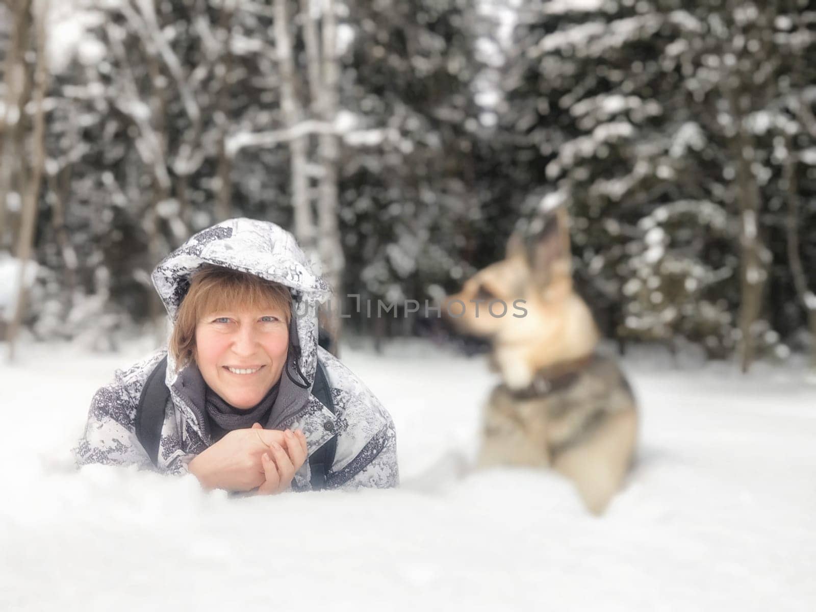 Portrait of Middle aged woman, adult girl, mature lady taking selfie with shepherd dog in snow winter nature landscape in forest in cold day. Fun, hugs. Partial focus
