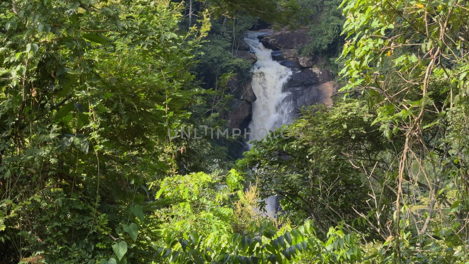 Remote jungle waterfall, obscured by dense greenery and inaccessible terrain.