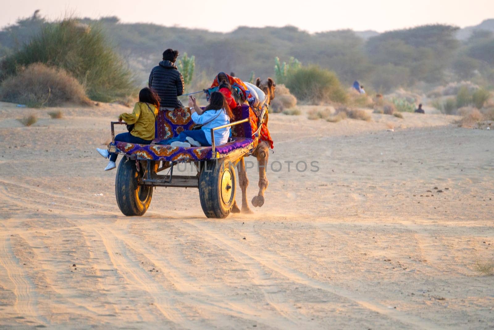 Jaisalmer, Rajasthan, India - 25th Dec 2023: Group of tourists clicking picture ssitting on teh back of a camel wagon in sam