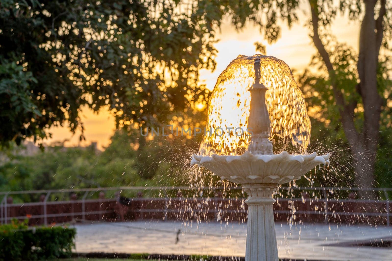 fountain with water splashing backlit with golden light from a sunrise sunset surrounded by trees showing a popular tourist spot in udaipur, jodhpur by Shalinimathur