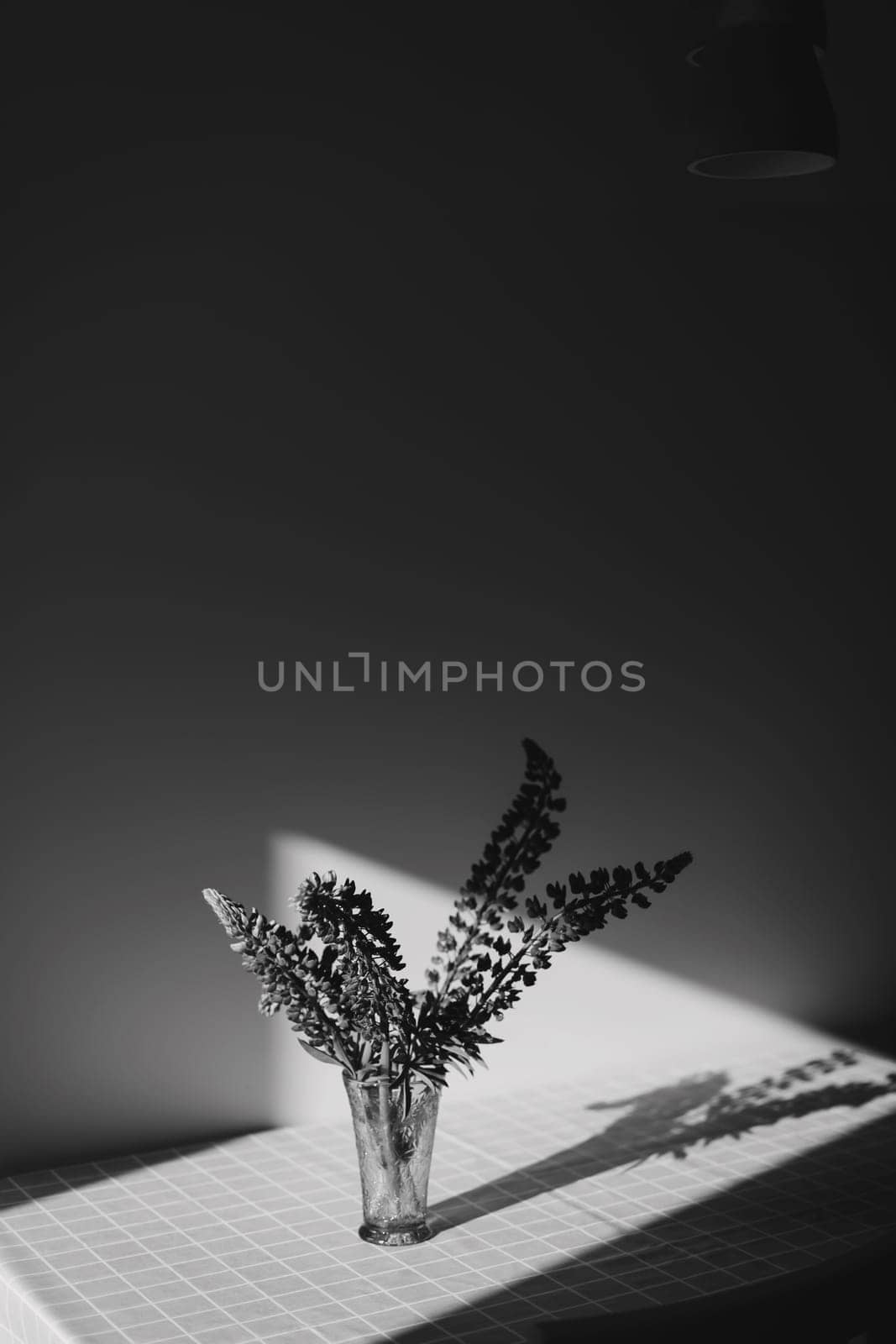 summer flowers purple lupins in vase on the table in sunlight. summer still life with blue lupines bouquet.