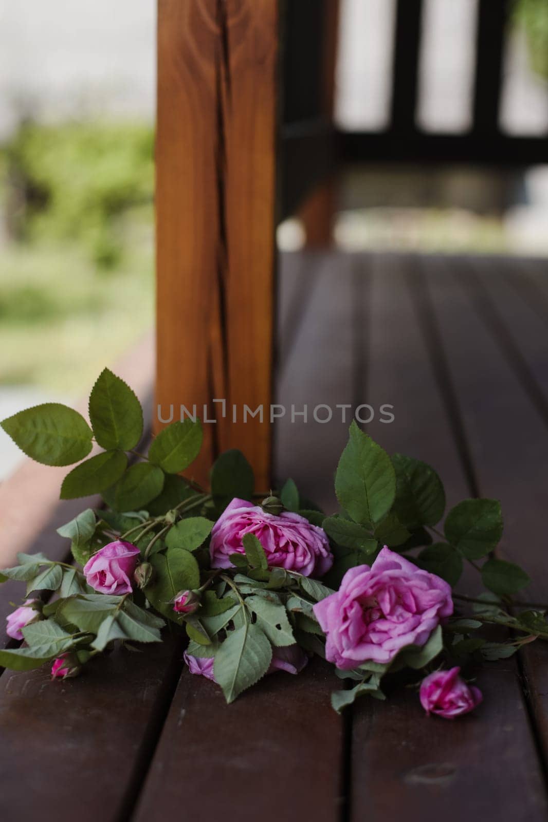 rose on wooden background. High quality photo