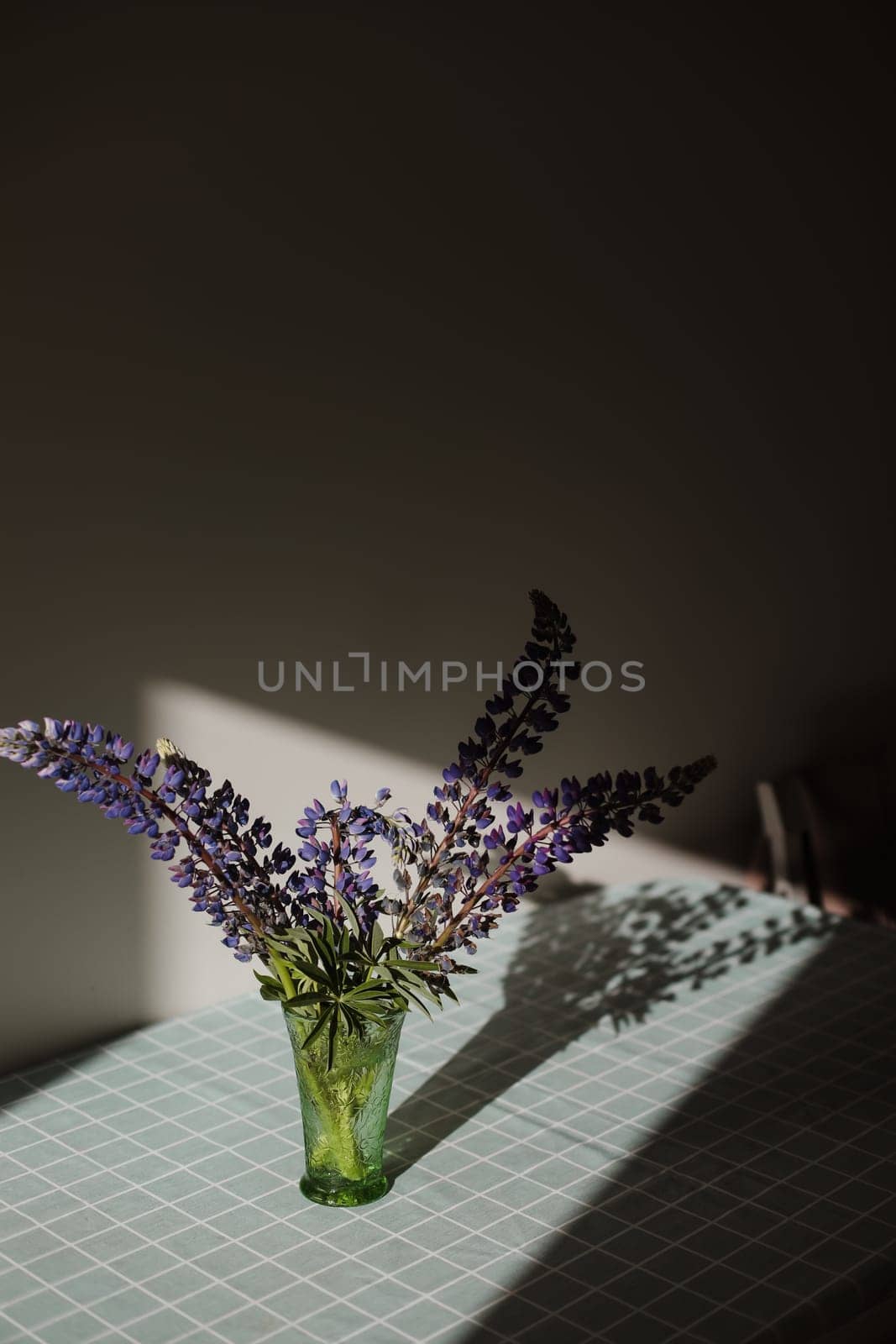 summer flowers purple lupins in vase on the table in sunlight. summer still life with blue lupines bouquet.