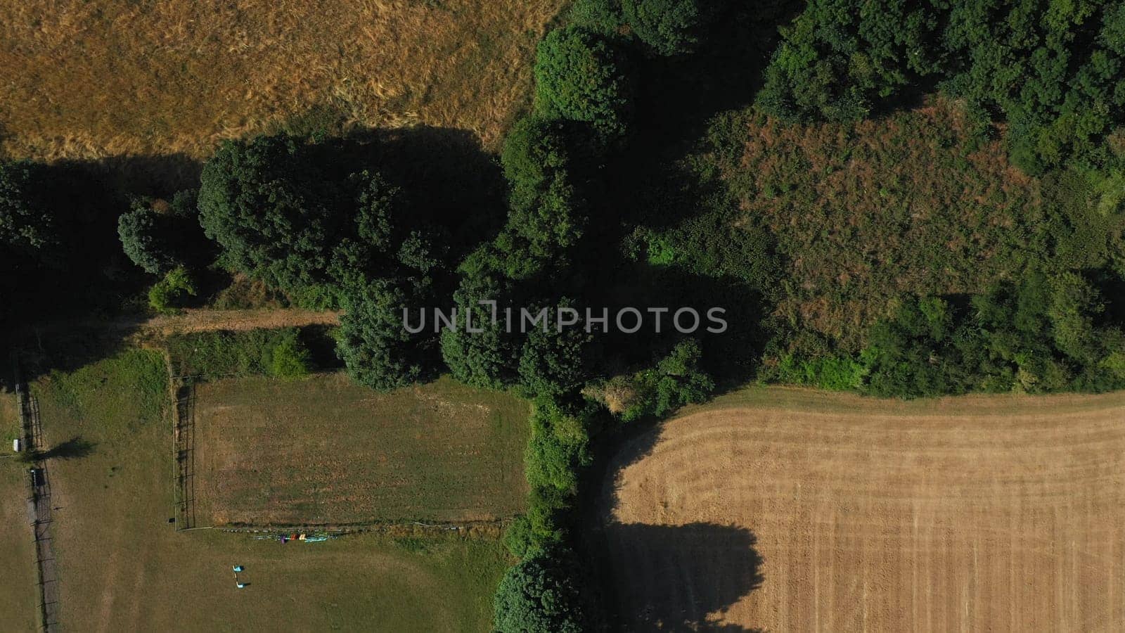 Top Down Aerial View of Green and Yellow Wheat Field Farm and Greenhouses. Golden Crops During Pasture Aerial View. Agricultural Work in Summer During Drought. Grain Crisis. Nature, Harvesting, Eco