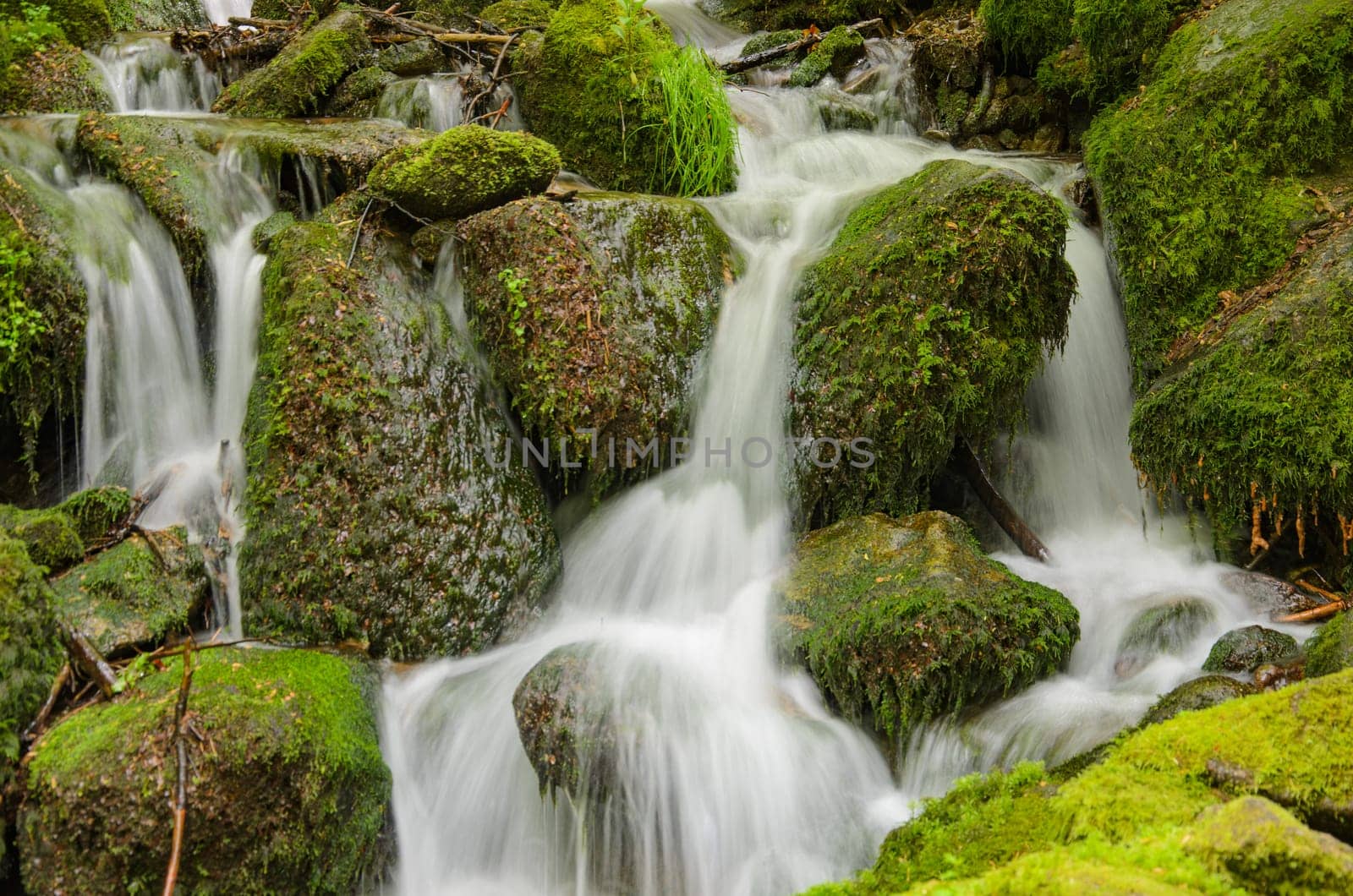 A small waterfall cascades over moss-covered rocks in a peaceful forest. Lush green trees surround the waterfall, creating a serene natural scene.
