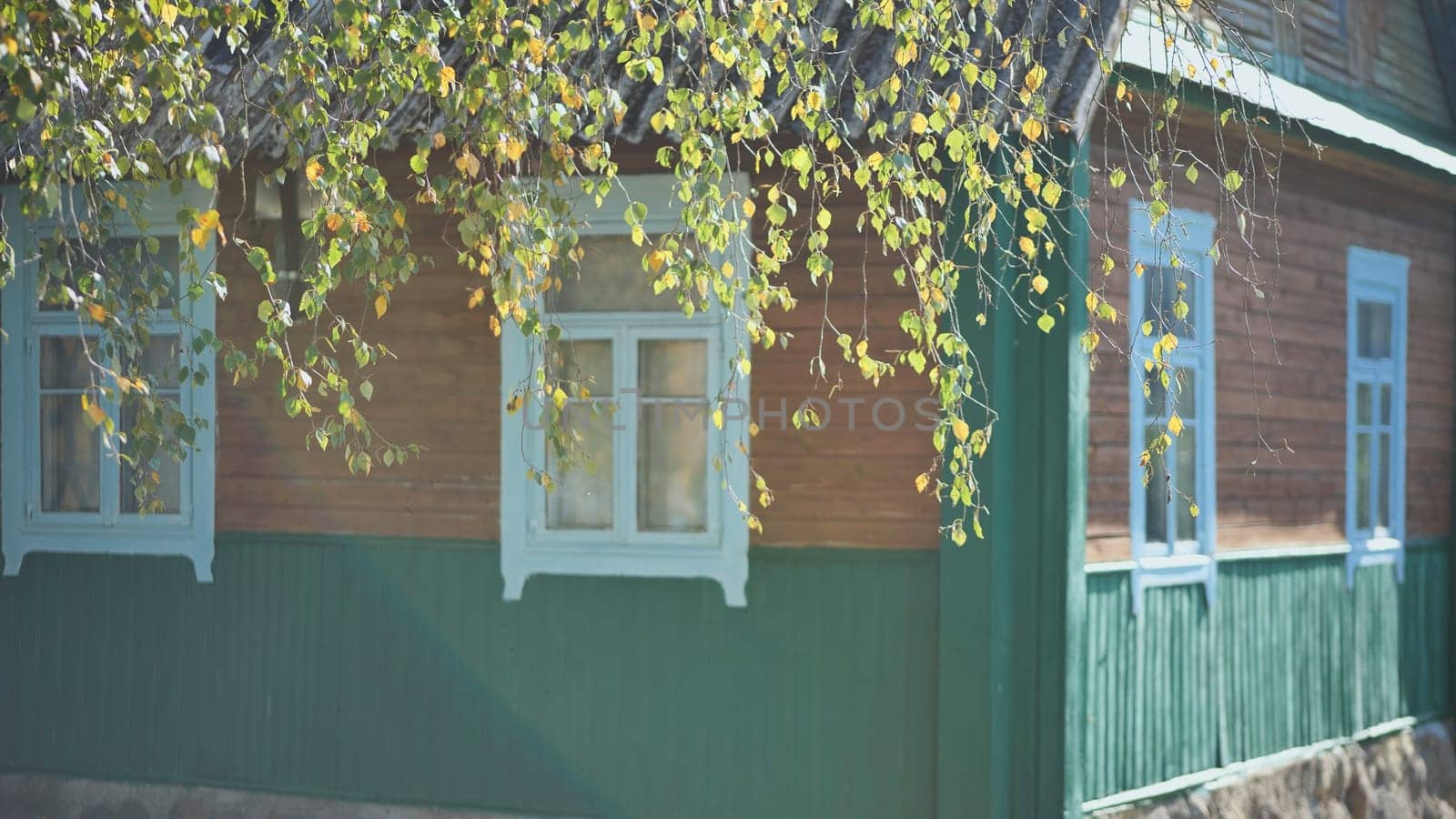 Rural landscape. Birch branches on the background of house in a village in Eastern Europe. by DovidPro