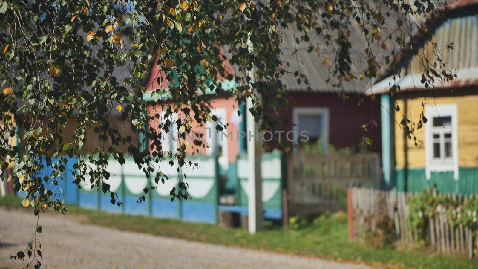 Rural landscape. Birch branches on the background of houses in a village in Eastern Europe