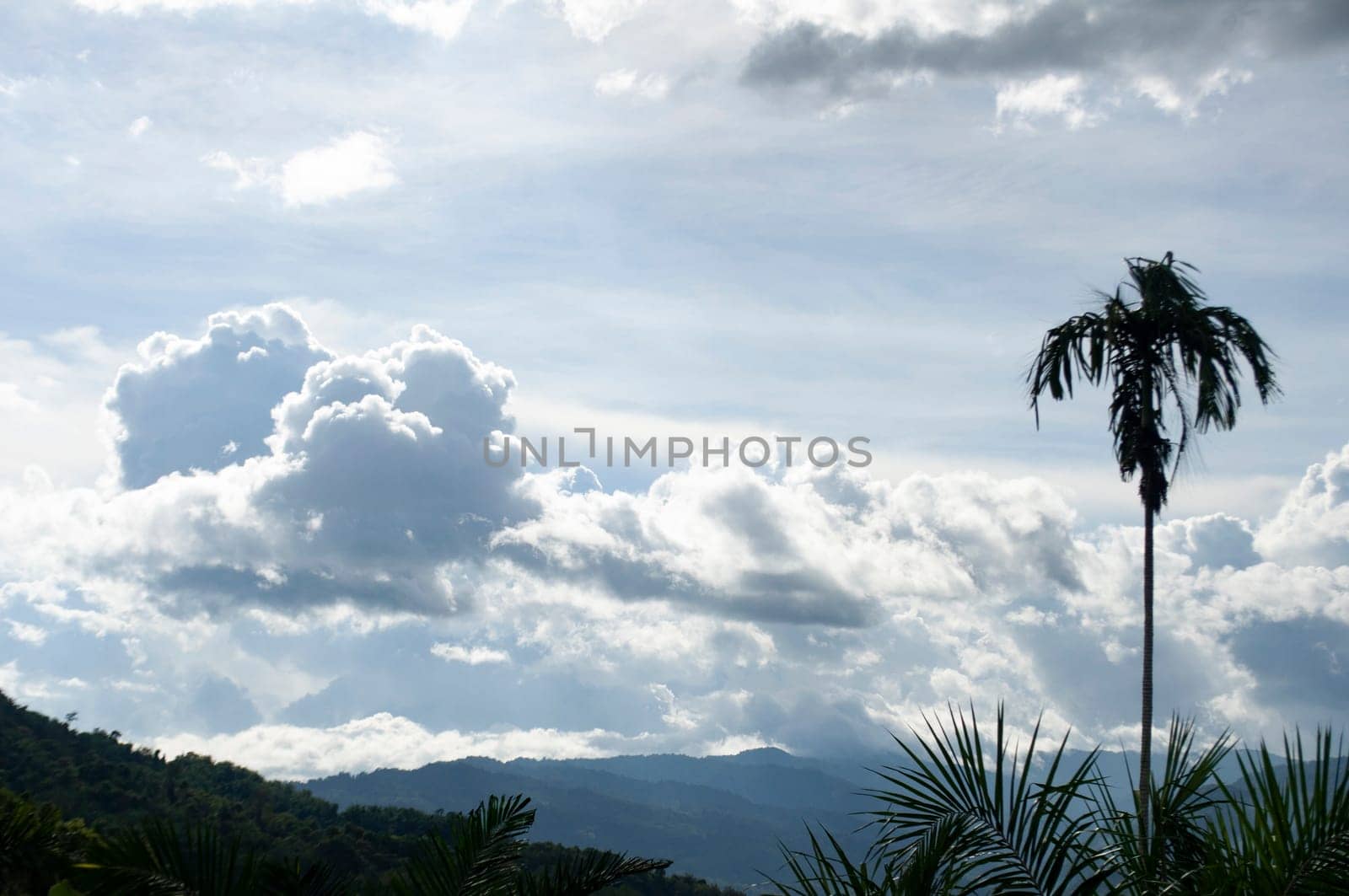 Beautiful nature view with customizable space for text.