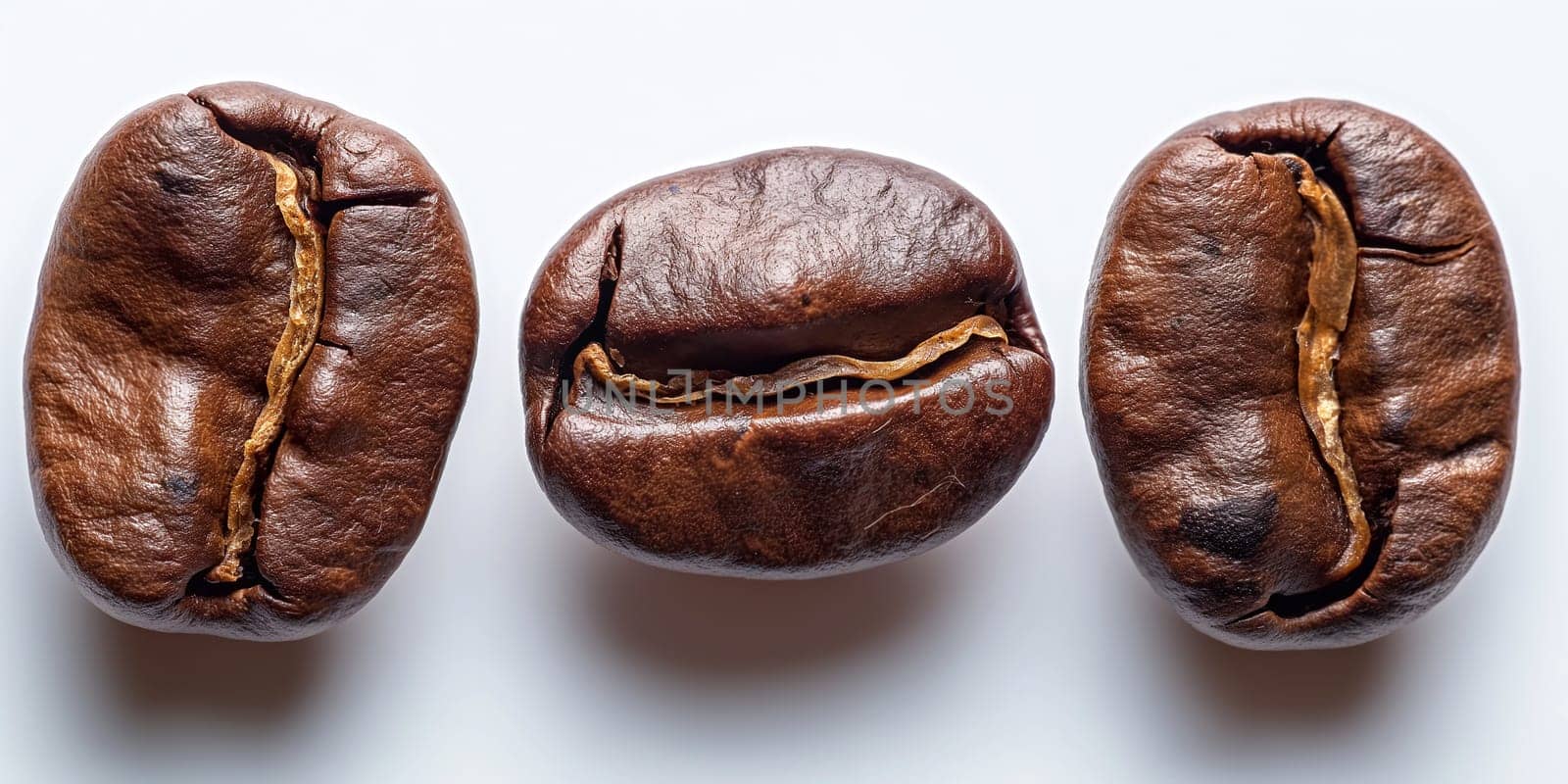 Macro closeup of three roasted brown coffee beans isolated with rich aroma and texture