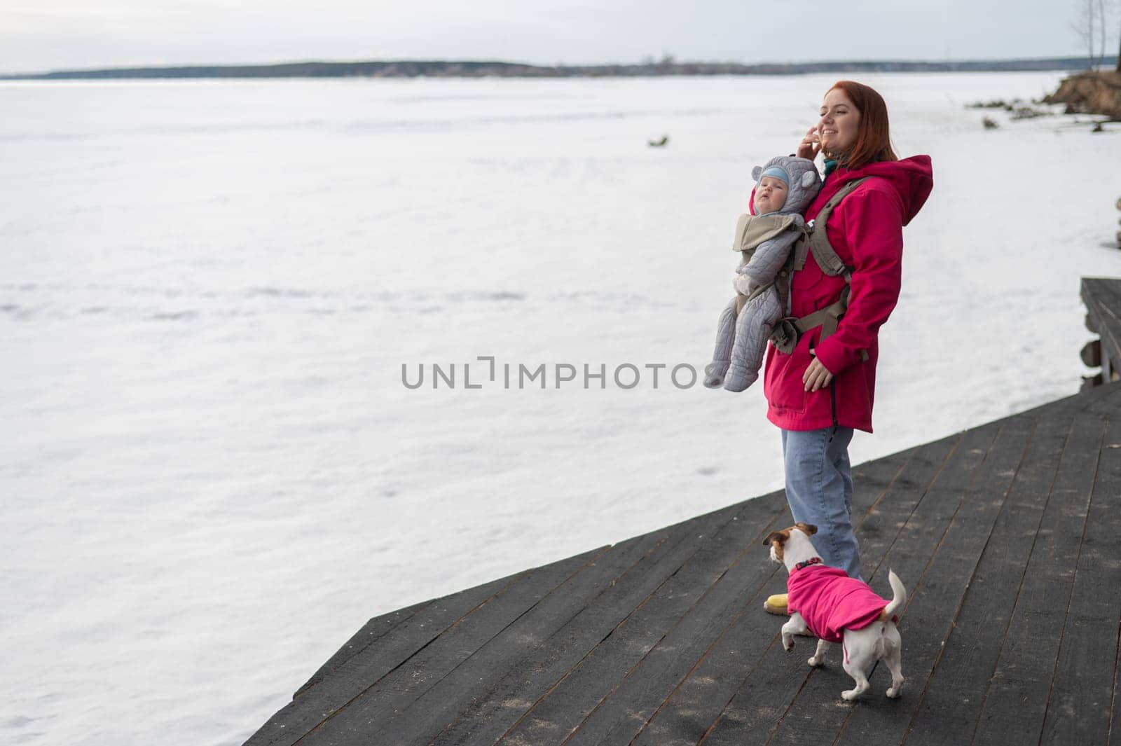 Caucasian woman walks with her son in an ergo backpack and a Jack Russell terrier dog in nature in winter