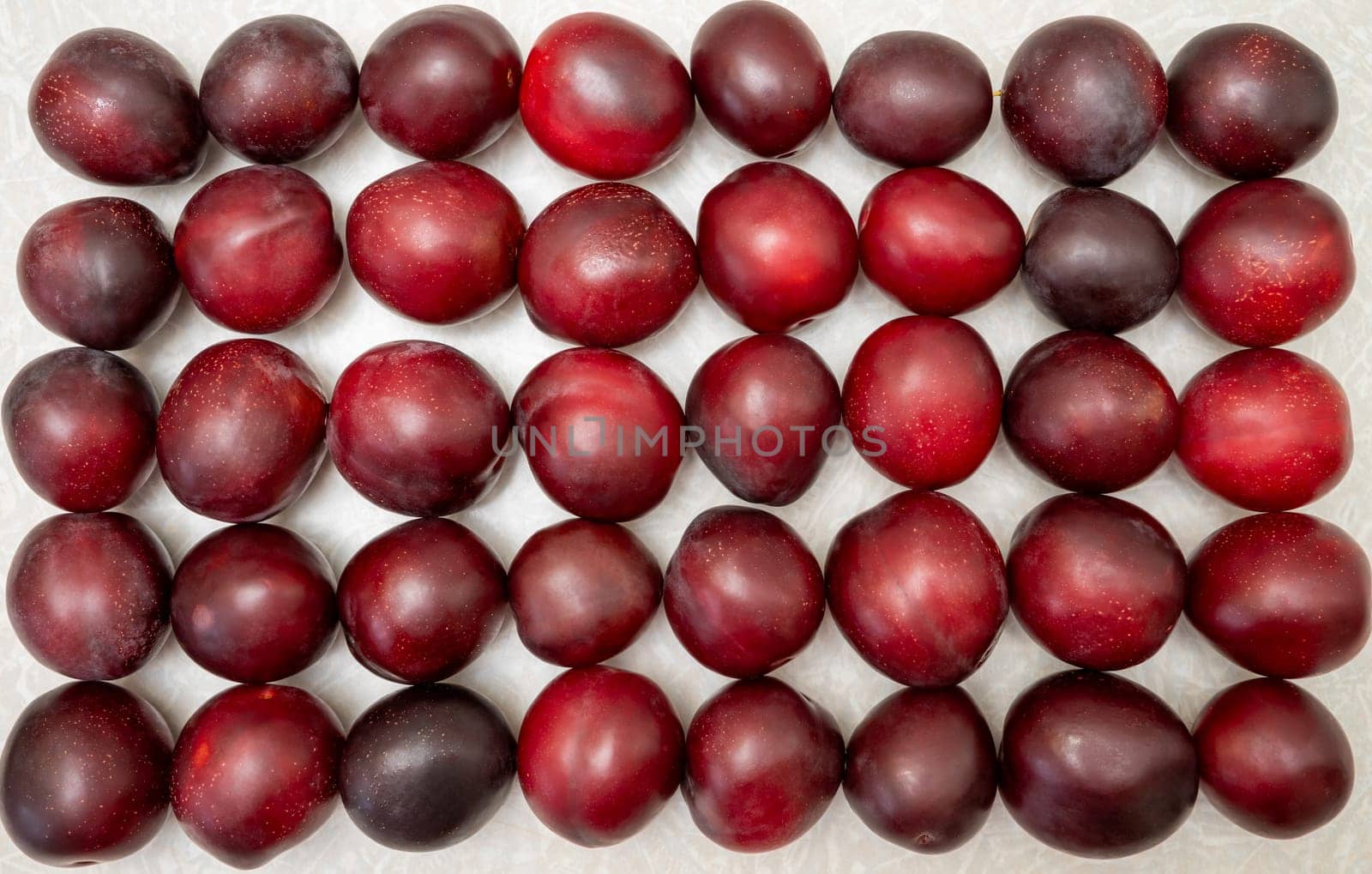 Several rows of red large plums on a white background.