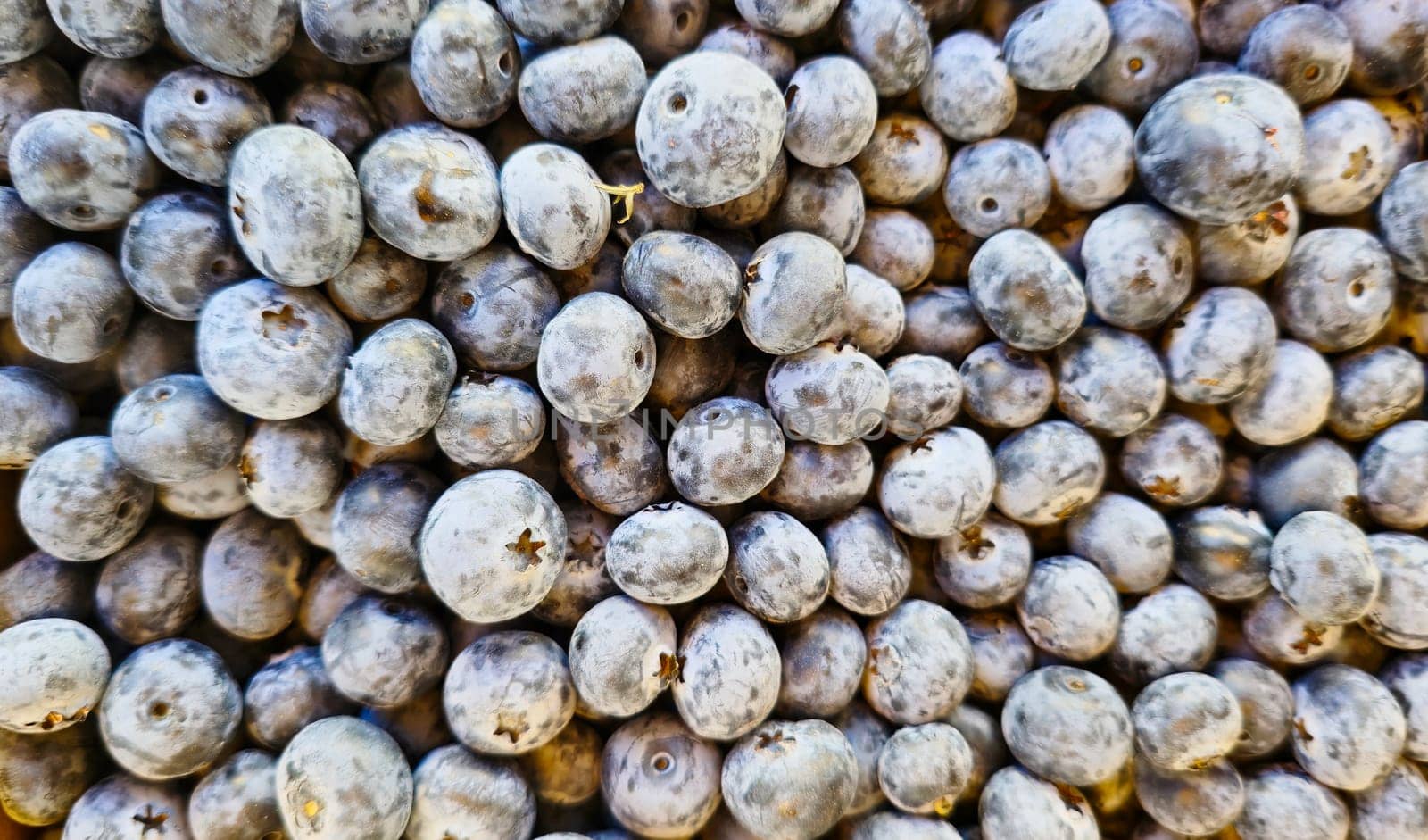 blueberry texture, fruits and berries, ranch