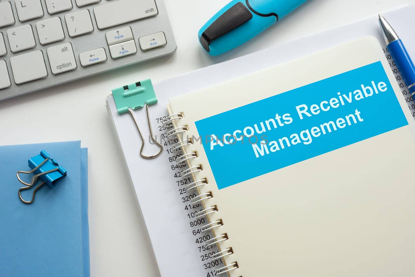 Book about Accounts Receivable Management and documents.